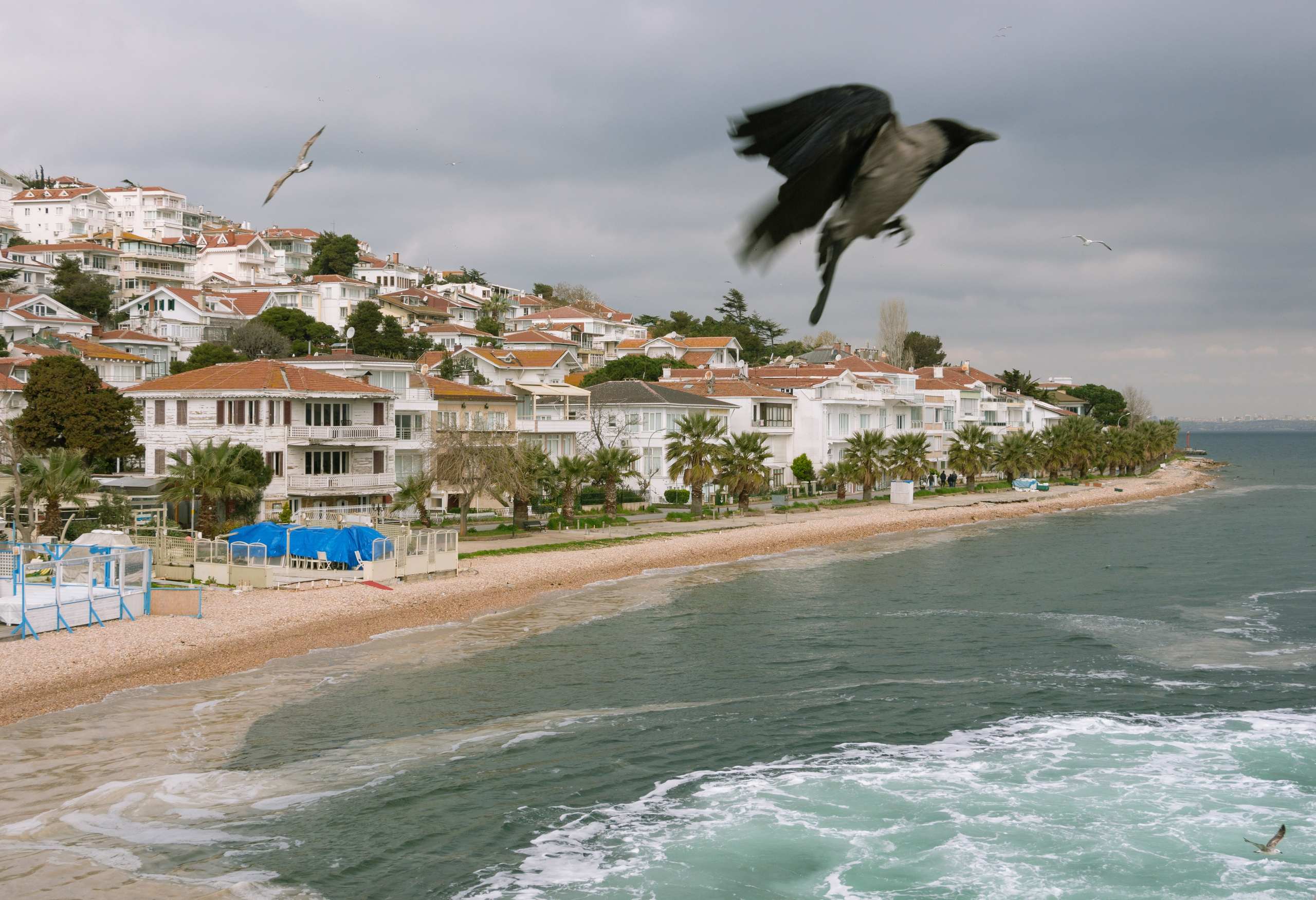 Istanbul. Sergey Kior