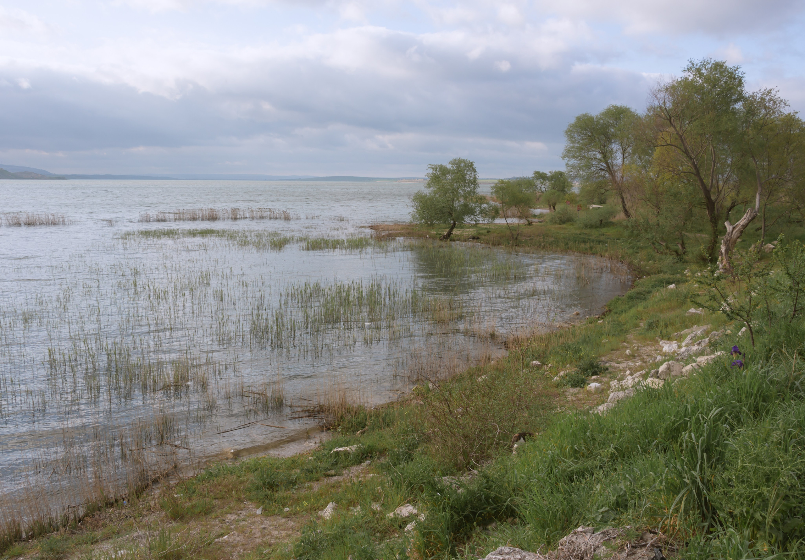 Istanbul. Sergey Kior