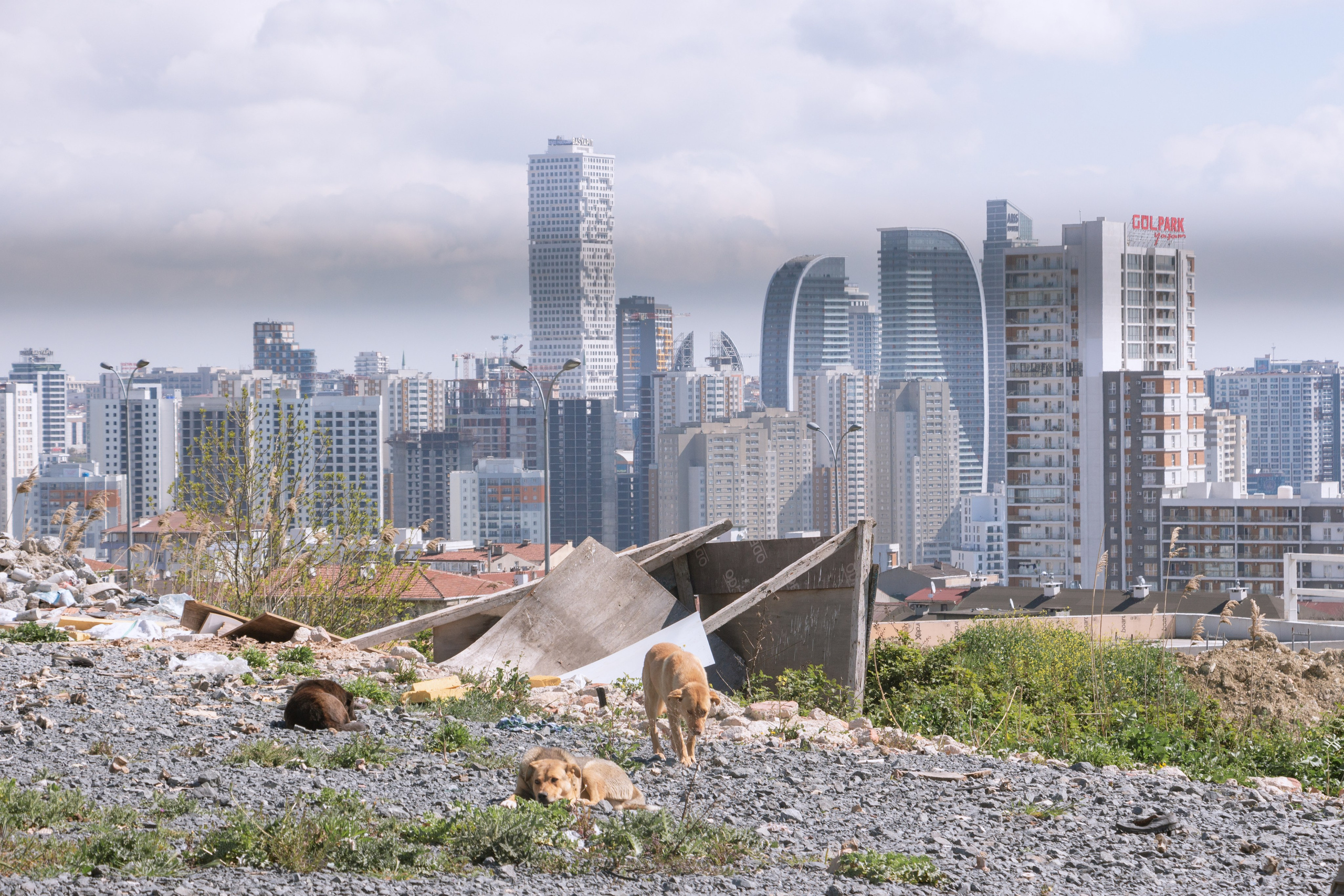 Istanbul. Sergey Kior