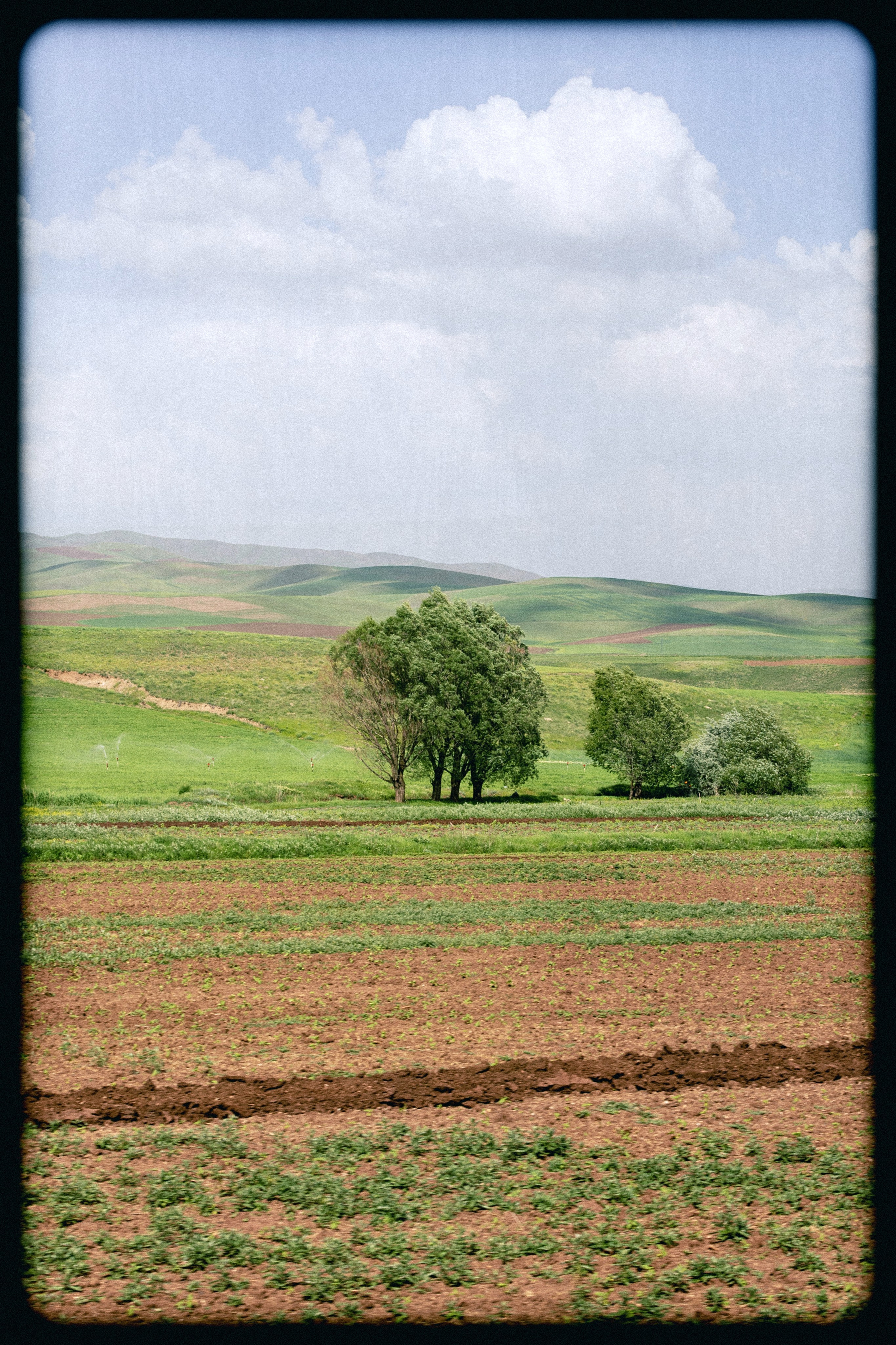 The Eastern Express. Sergey Kior