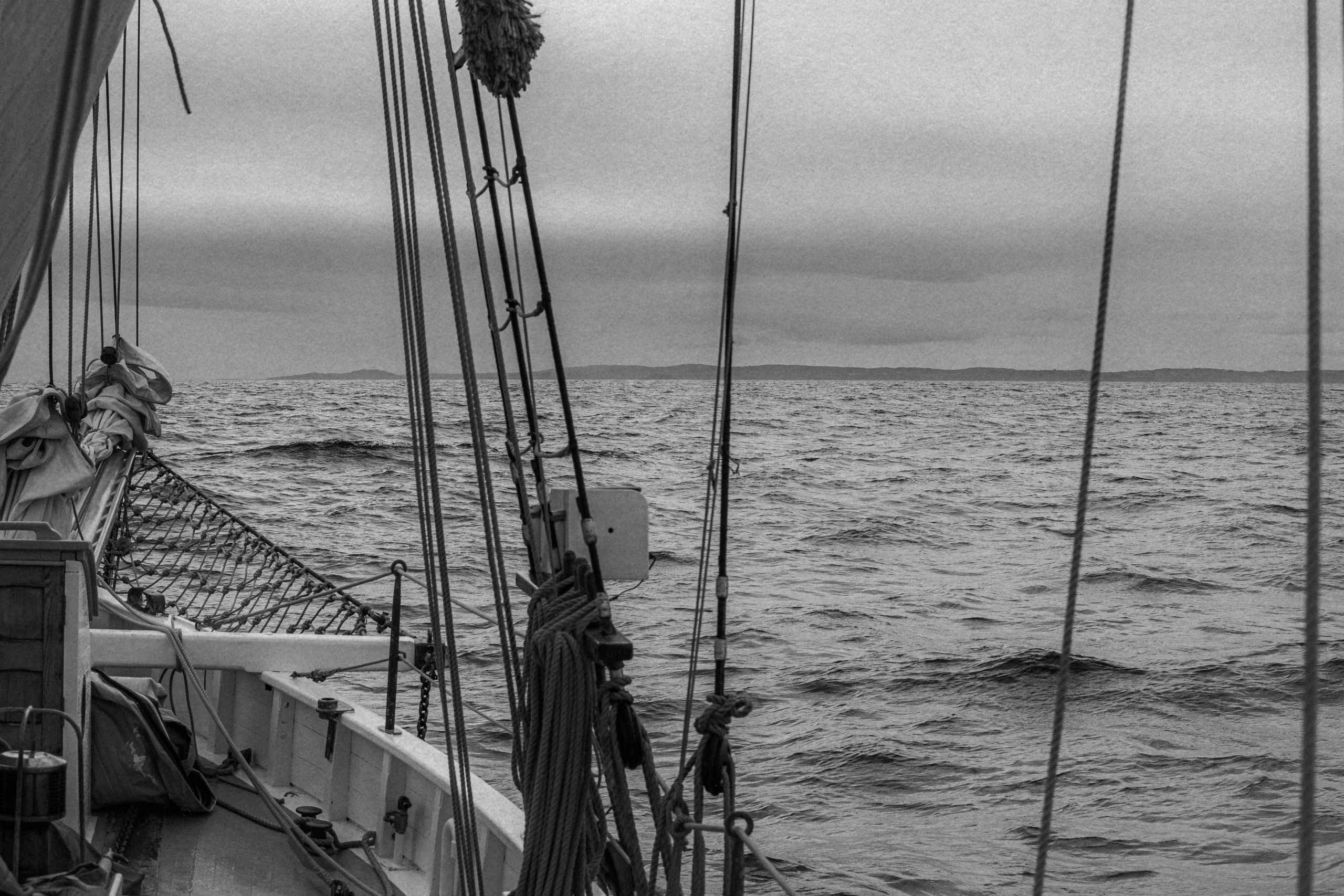 Sailing Into Wellness. Sergey Kior