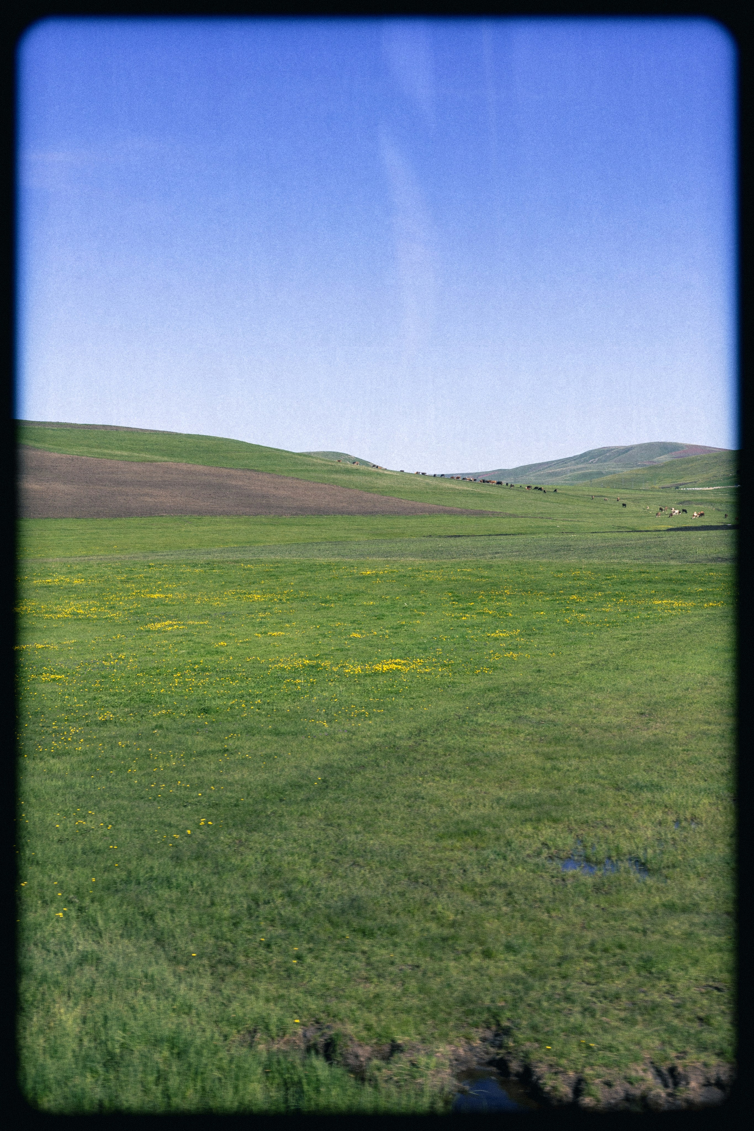 The Eastern Express. Sergey Kior