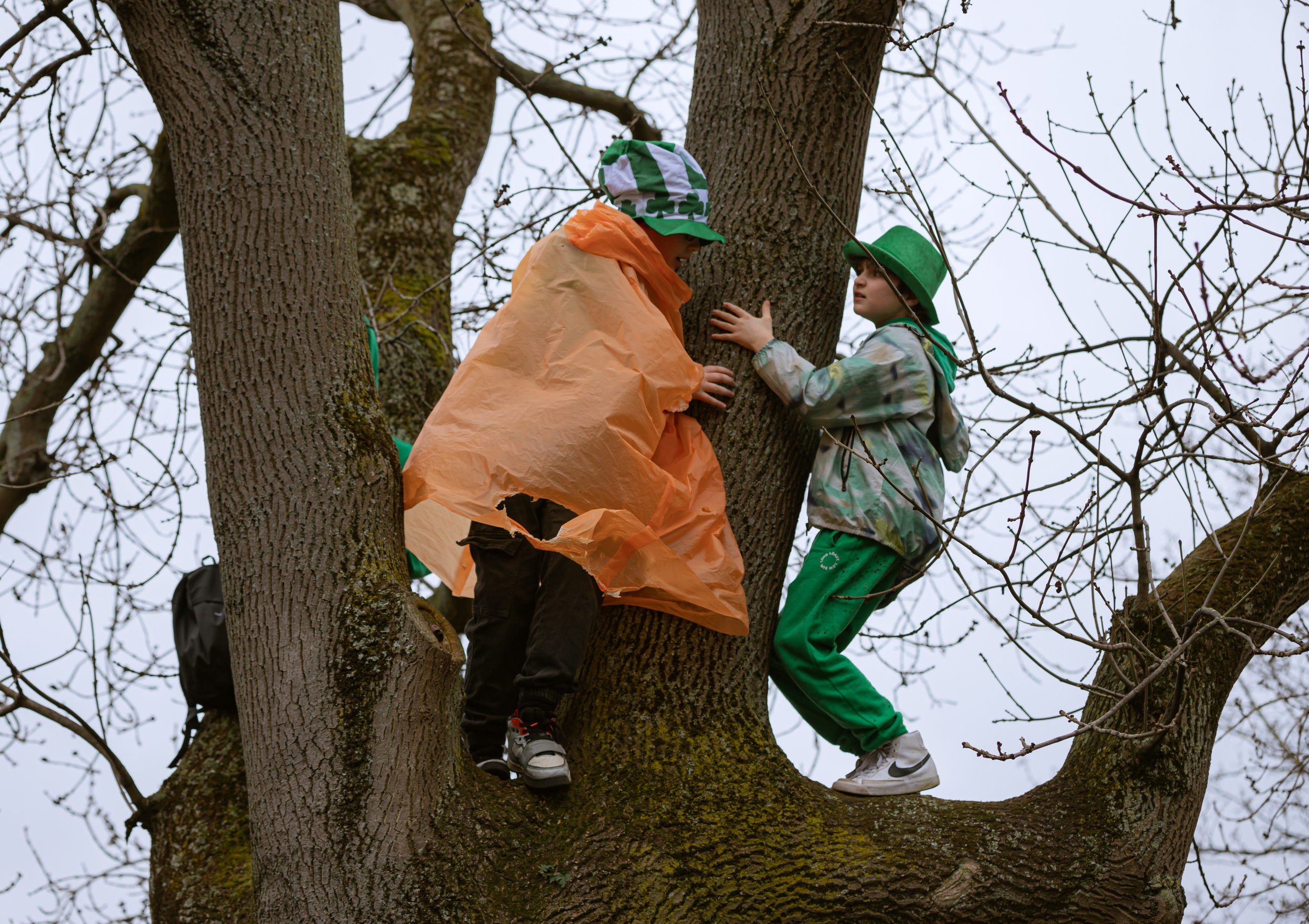 St Patrick’s Day. Sergey Kior
