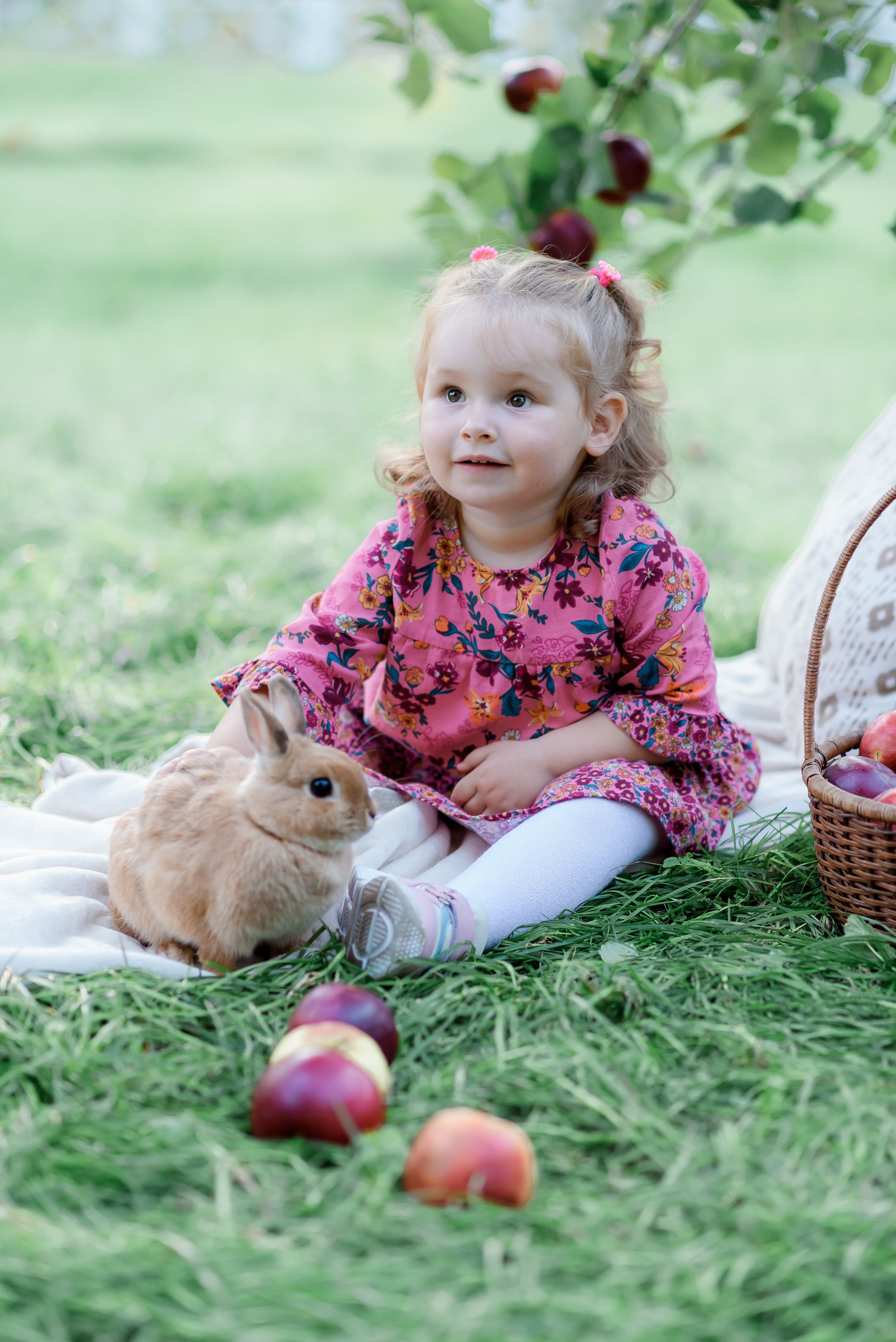 Збір врожаю (з яблоками та кавунами). Сімейний та дитячий фотограф в Києві та Ірпені Тетяна Чайка