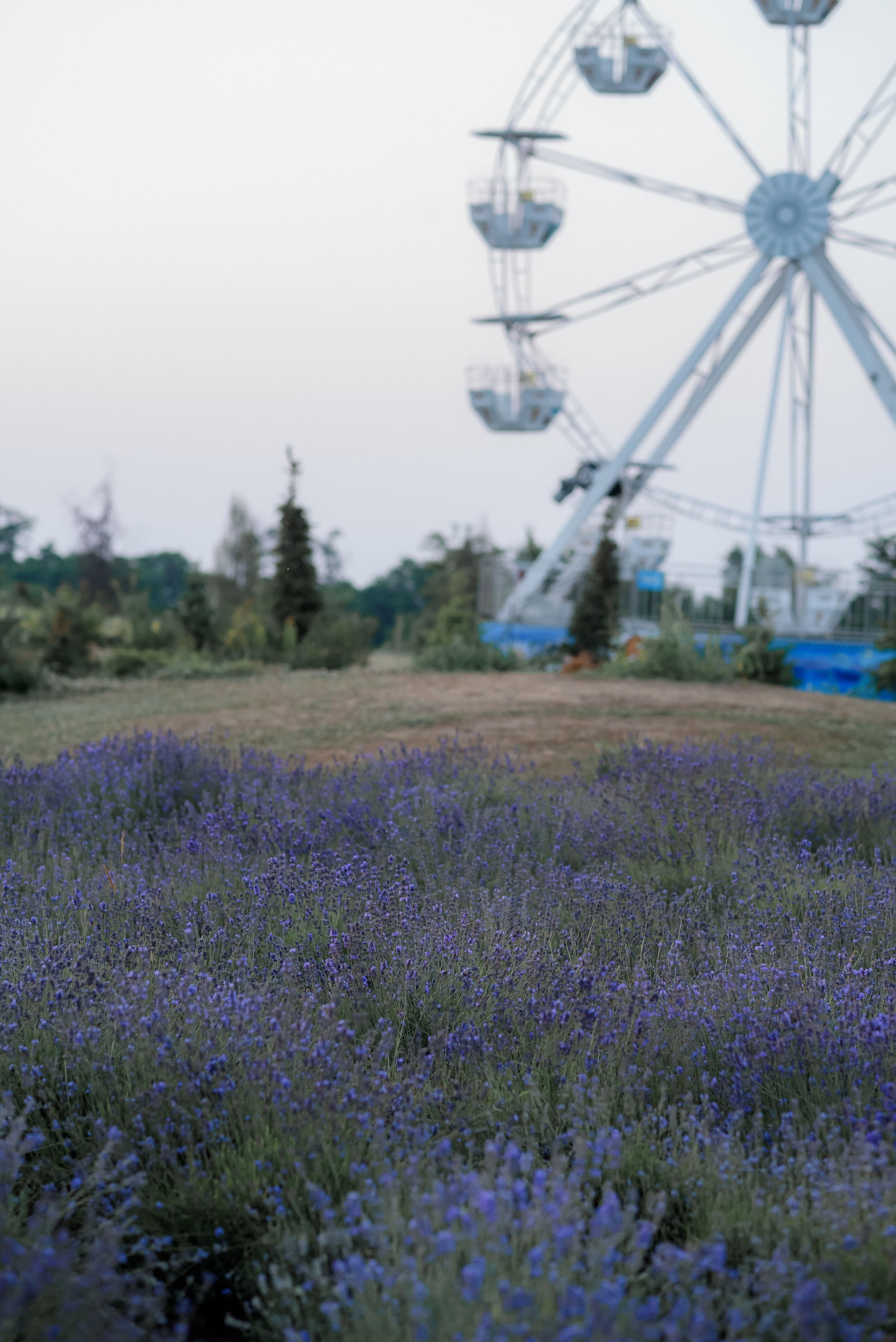 Ліза. Анюта. Андрій. Сімейний та дитячий фотограф в Києві та Ірпені Тетяна Чайка