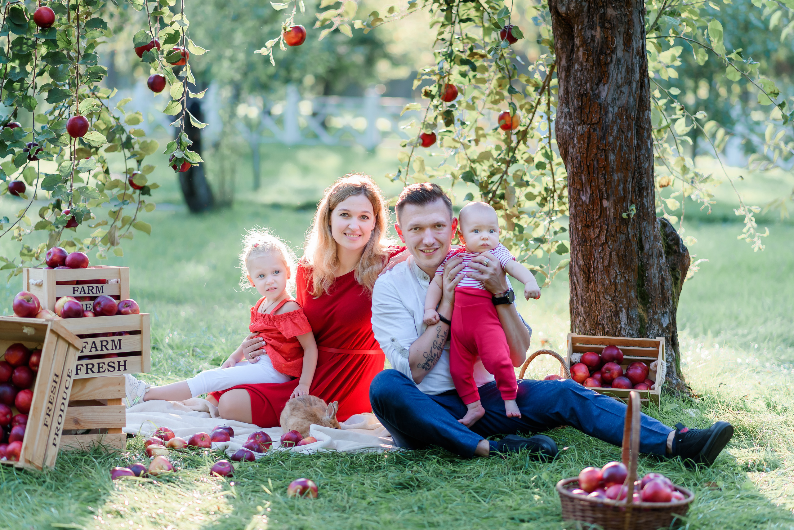 Збір врожаю (з яблоками та кавунами). Сімейний та дитячий фотограф в Києві та Ірпені Тетяна Чайка