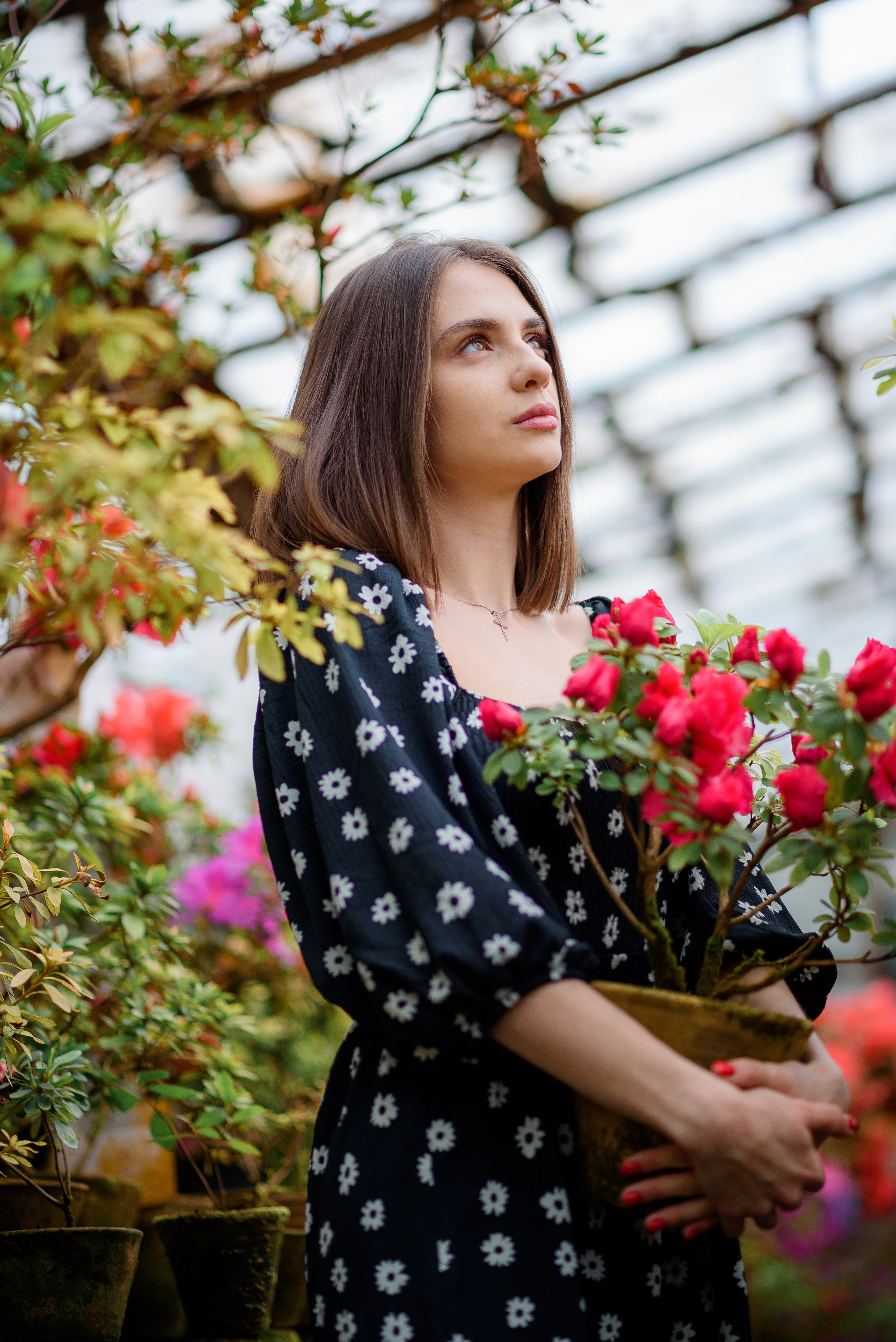 Богдана в азаліях. Сімейний та дитячий фотограф в Києві та Ірпені Тетяна Чайка