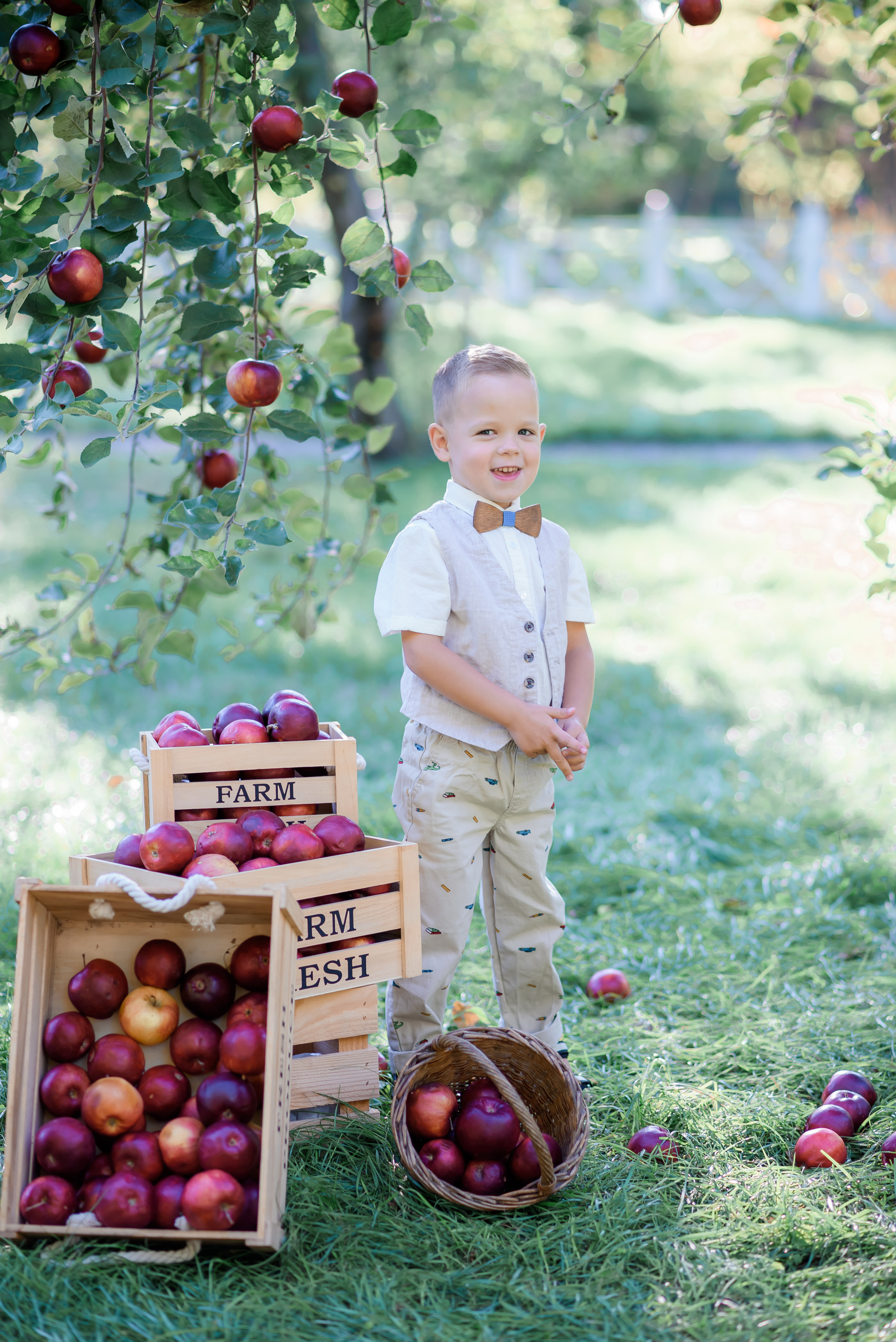 Збір врожаю (з яблоками та кавунами). Сімейний та дитячий фотограф в Києві та Ірпені Тетяна Чайка