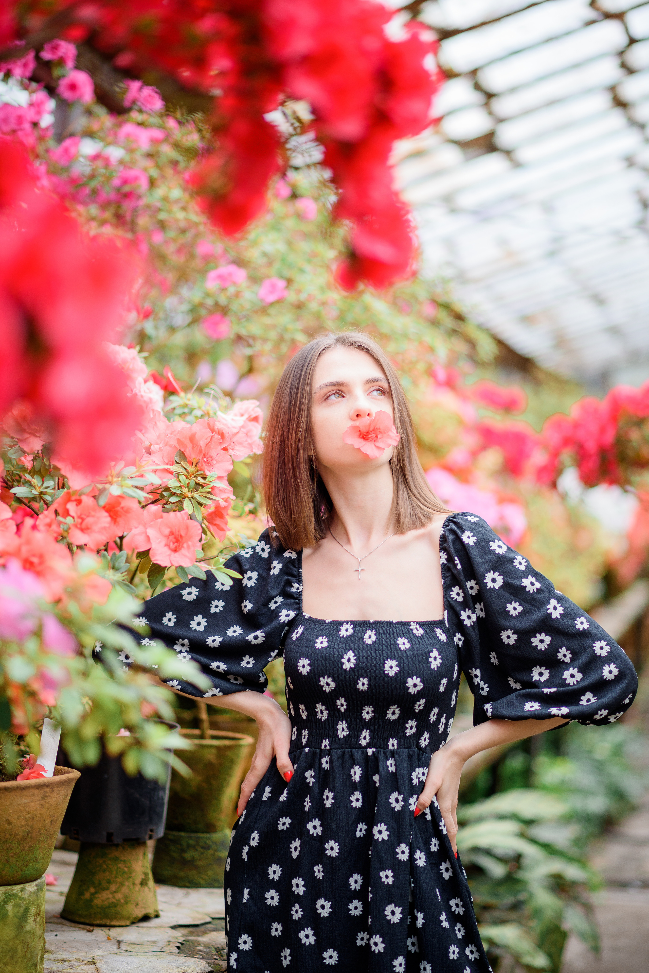 Богдана в азаліях. Сімейний та дитячий фотограф в Києві та Ірпені Тетяна Чайка