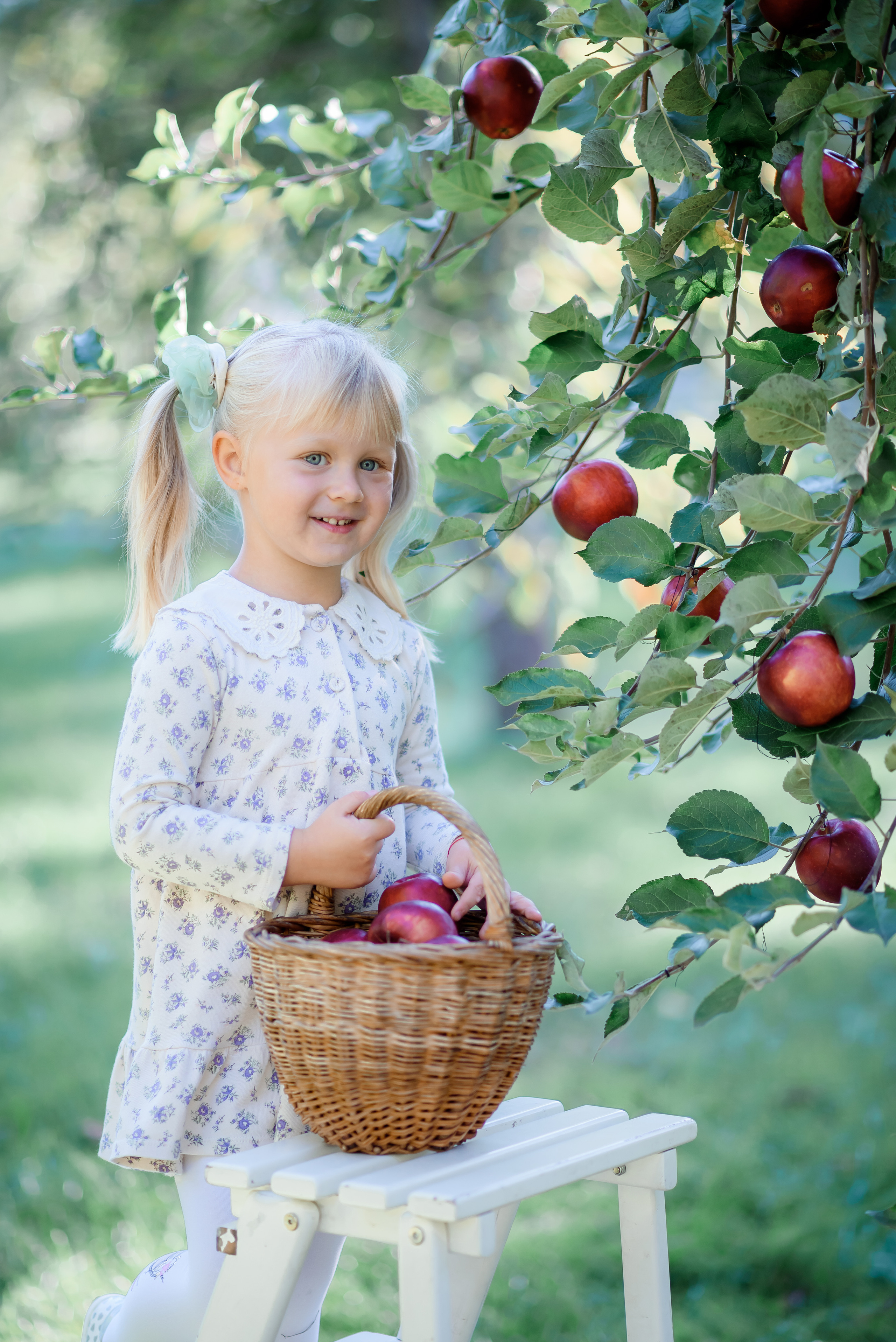 Збір врожаю (з яблоками та кавунами). Сімейний та дитячий фотограф в Києві та Ірпені Тетяна Чайка