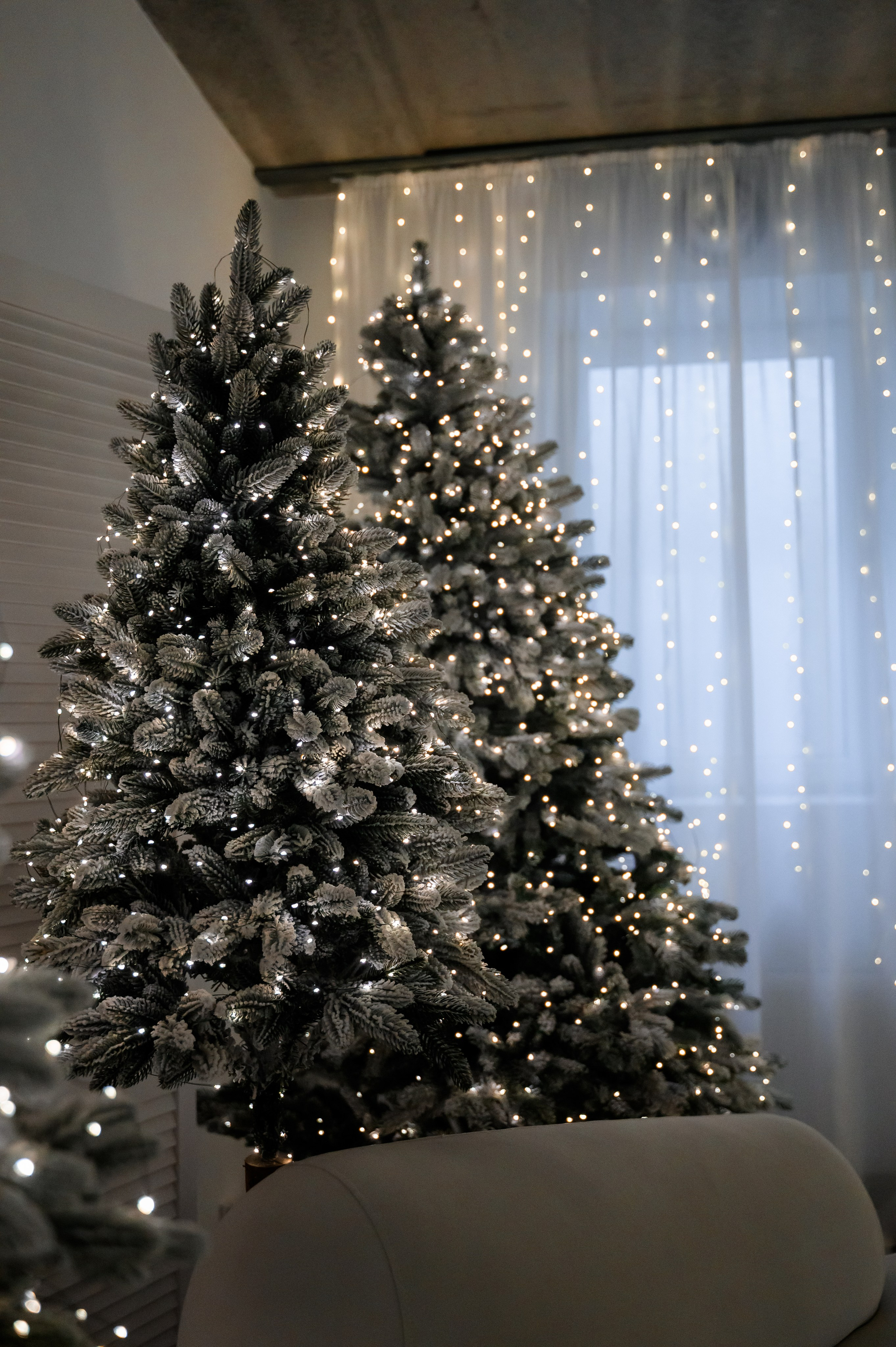 Прайс на Новорічні фотосесії. Сімейний та дитячий фотограф в Києві та Ірпені Тетяна Чайка