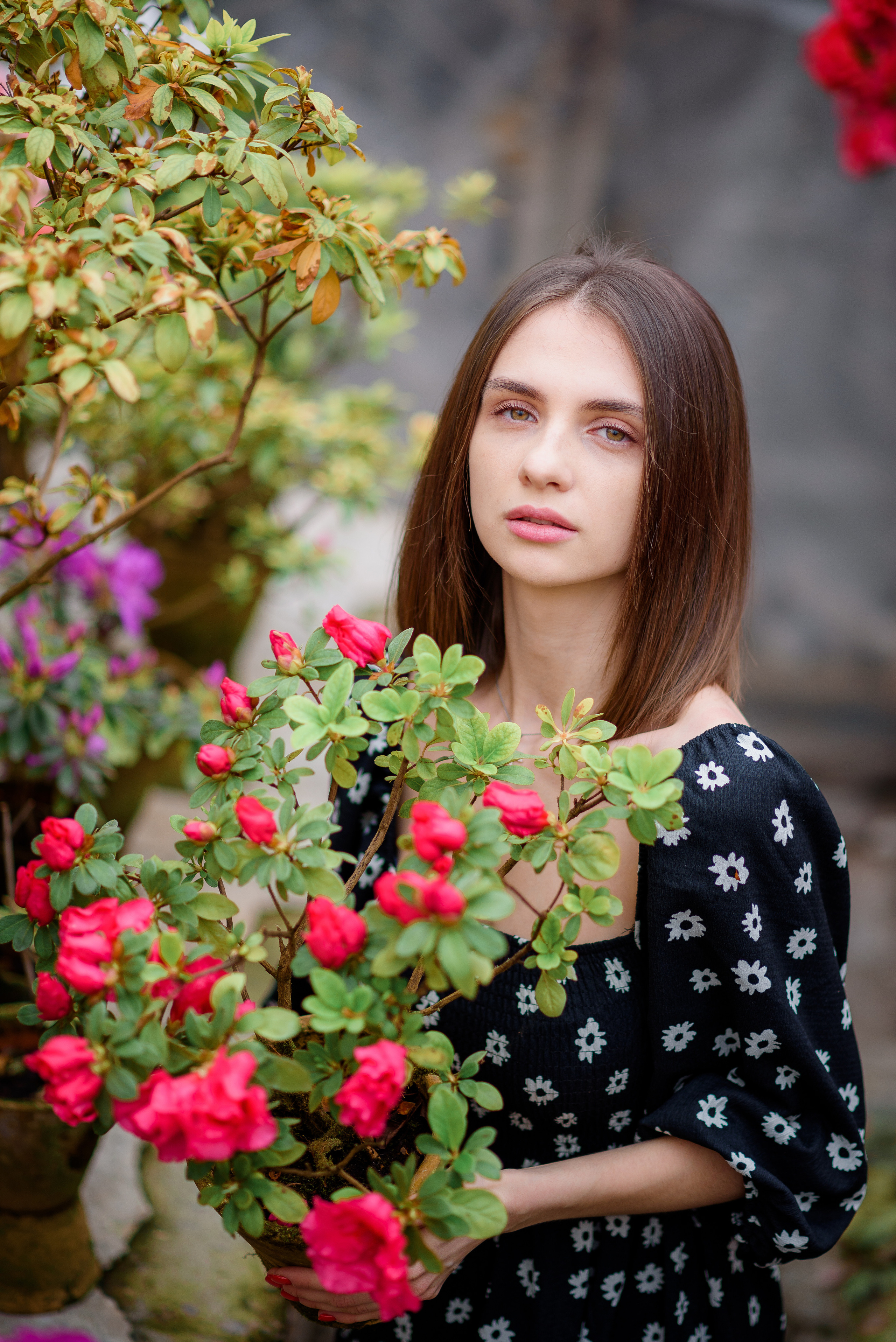Богдана в азаліях. Сімейний та дитячий фотограф в Києві та Ірпені Тетяна Чайка