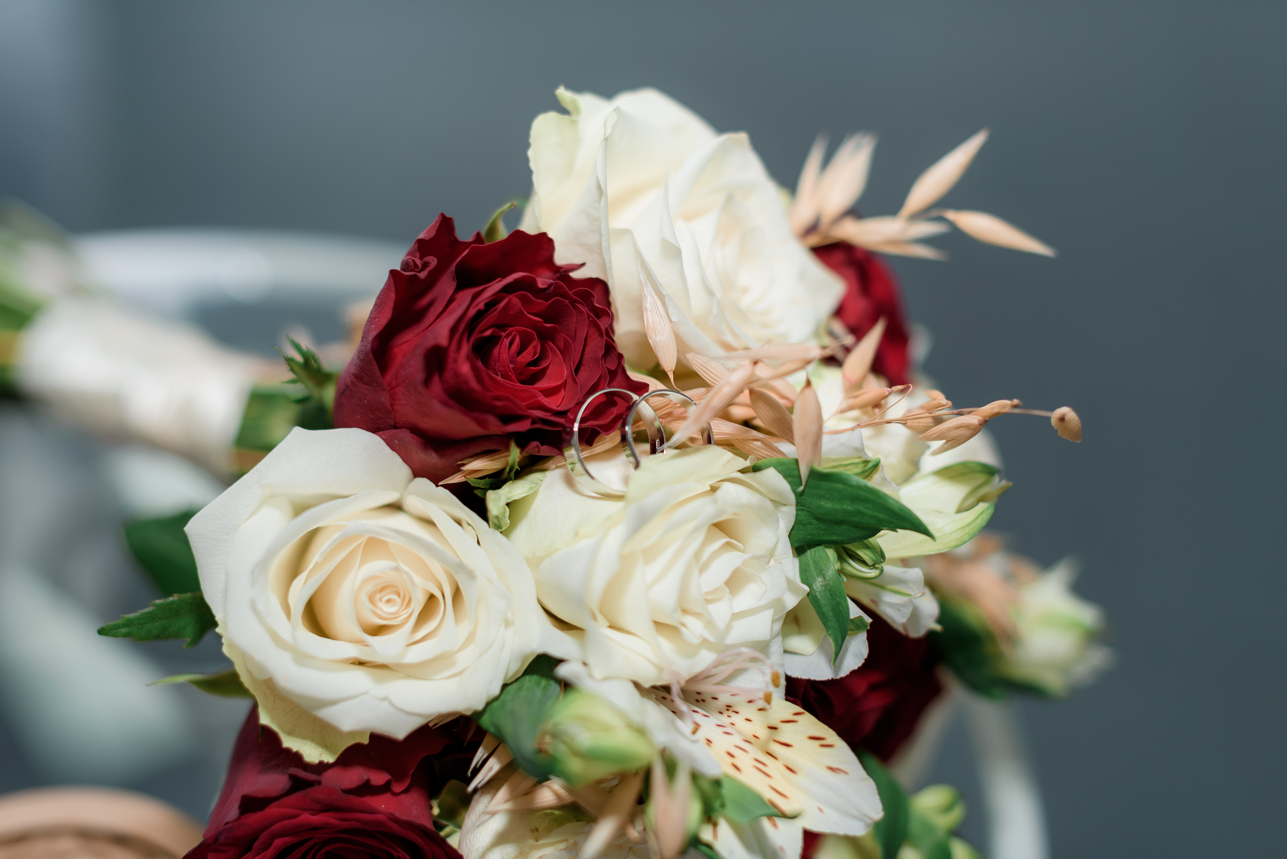 РАЦС. Сімейний та дитячий фотограф в Києві та Ірпені Тетяна Чайка