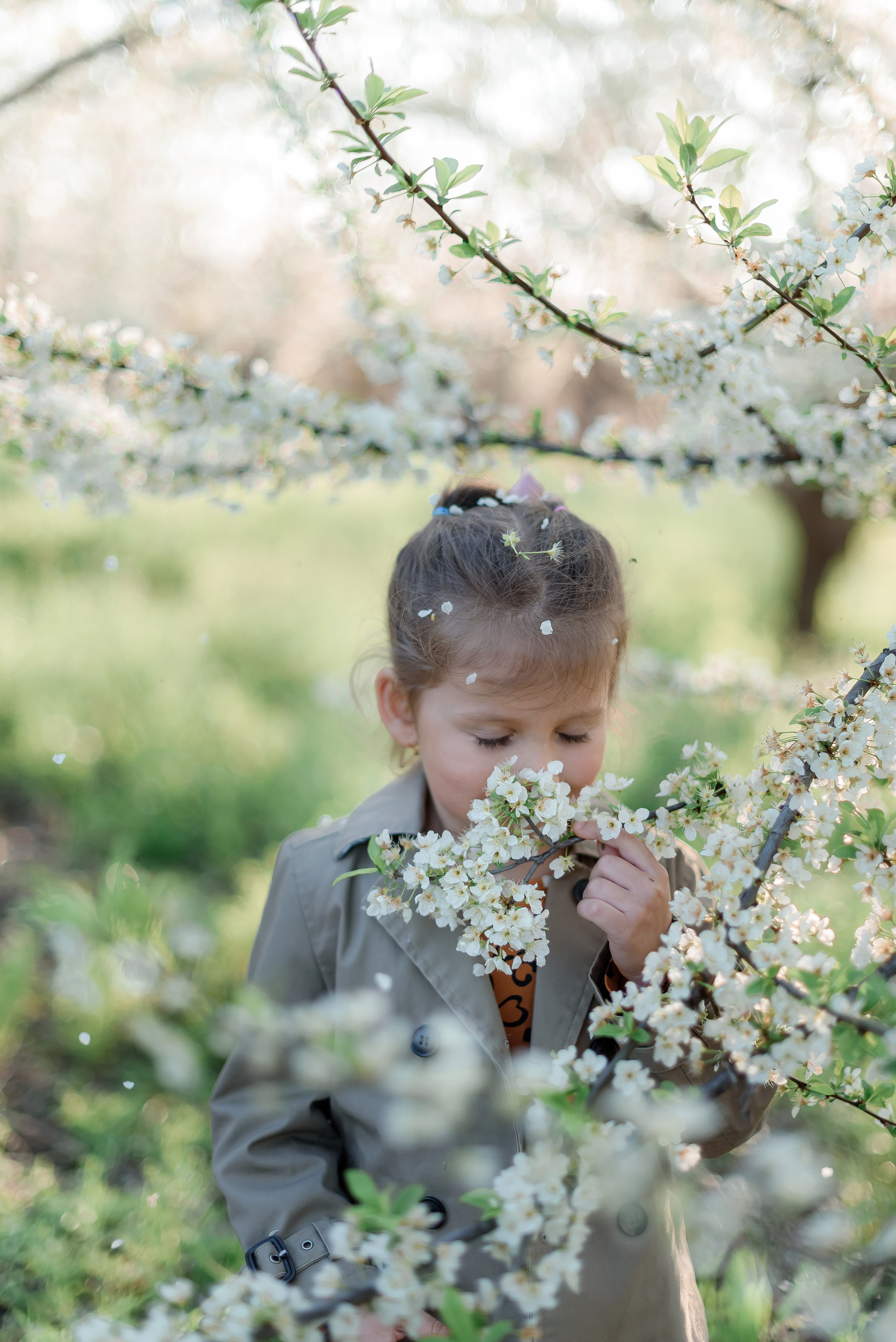 Фотосесія у квітучому саду. Сімейний та дитячий фотограф в Києві та Ірпені Тетяна Чайка
