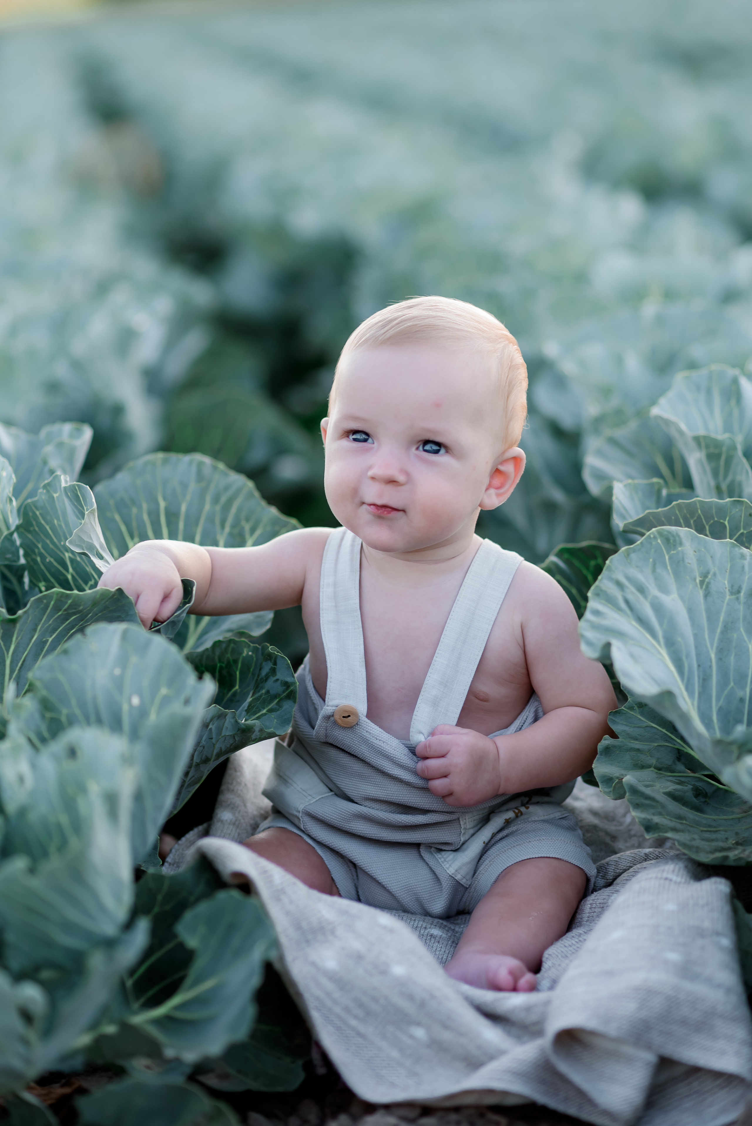 Сімейна в капусті. Надя з родиною. Сімейний та дитячий фотограф в Києві та Ірпені Тетяна Чайка