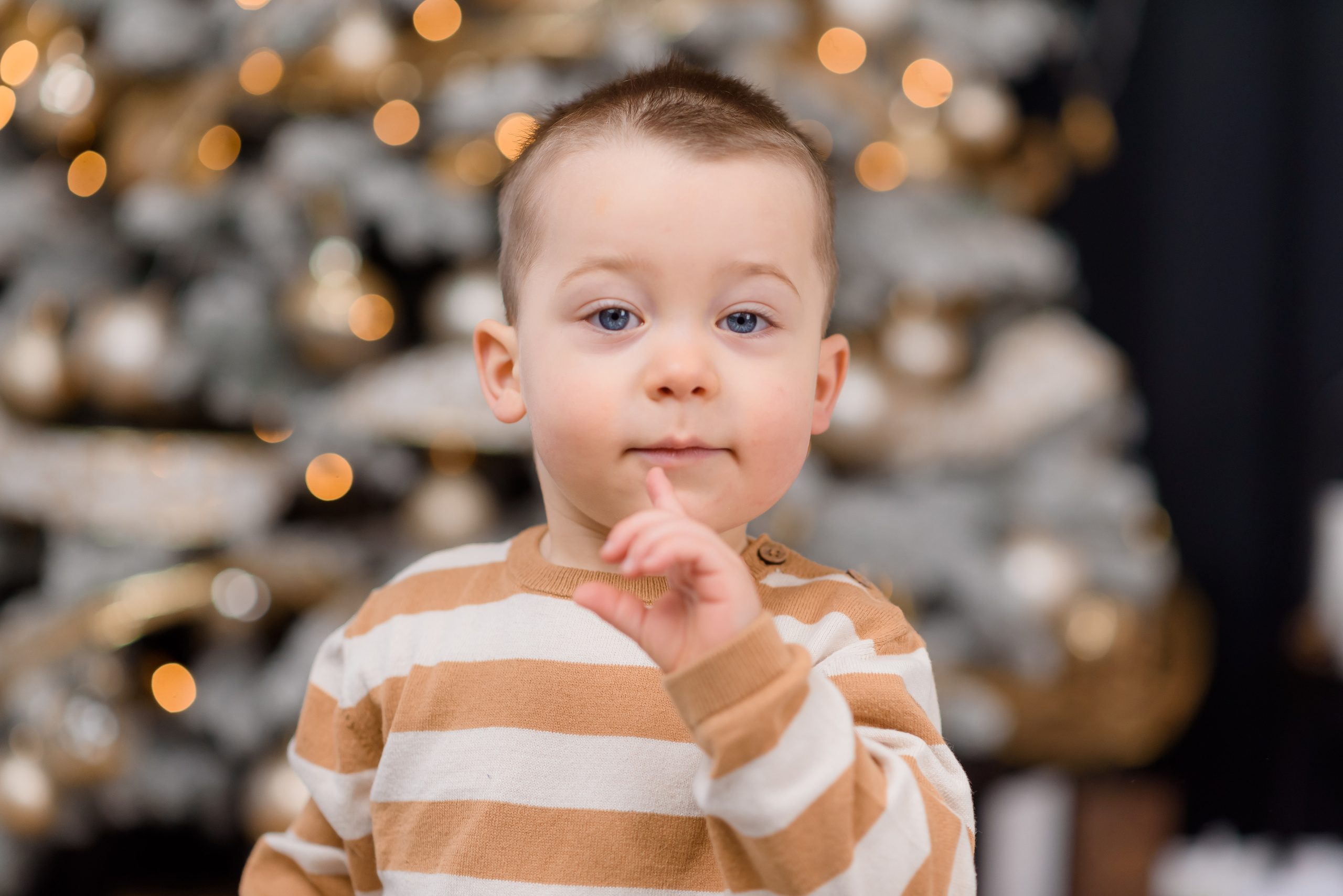 Юлія. Максим. Давид. Сімейний та дитячий фотограф в Києві та Ірпені Тетяна Чайка