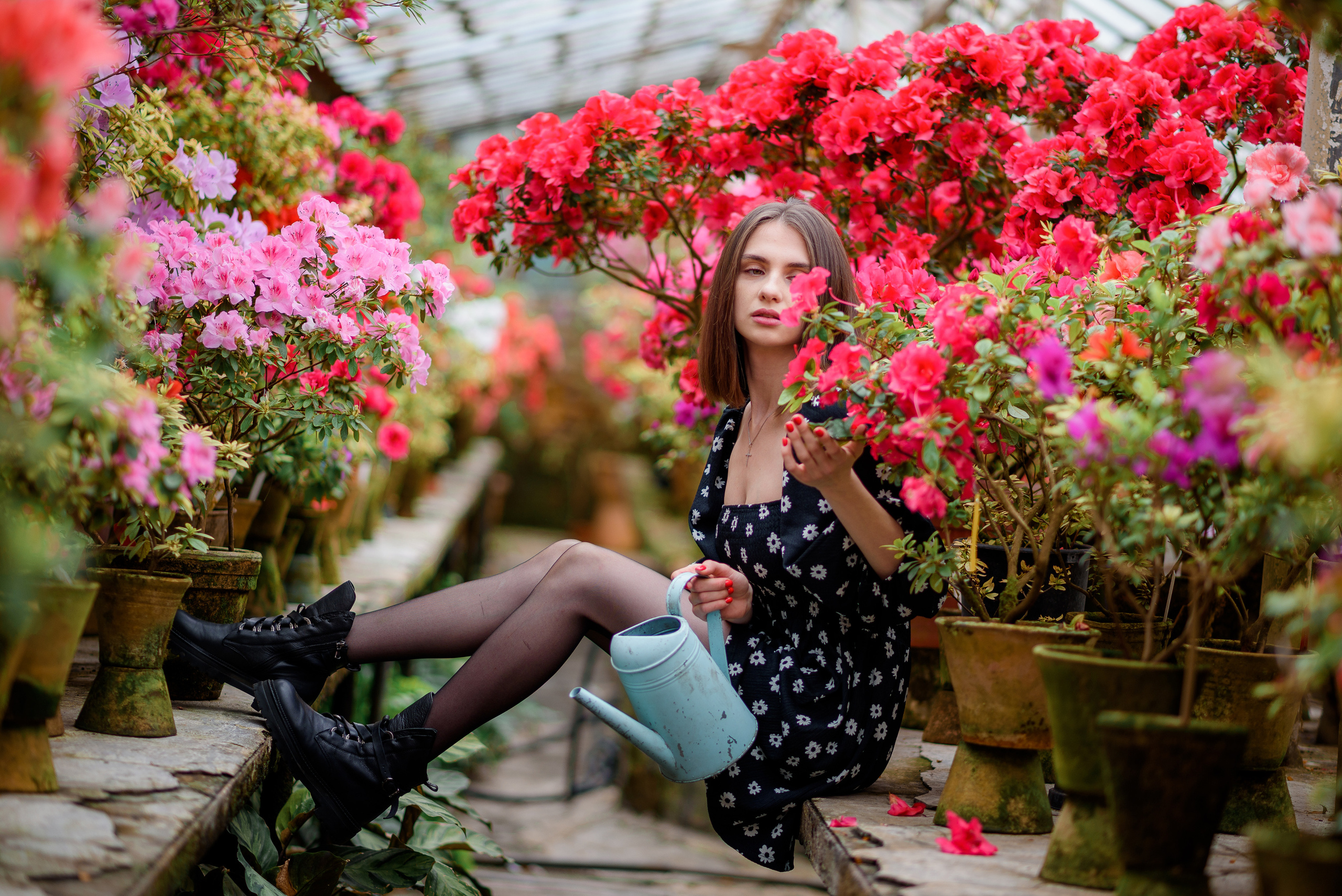 Богдана в азаліях. Сімейний та дитячий фотограф в Києві та Ірпені Тетяна Чайка