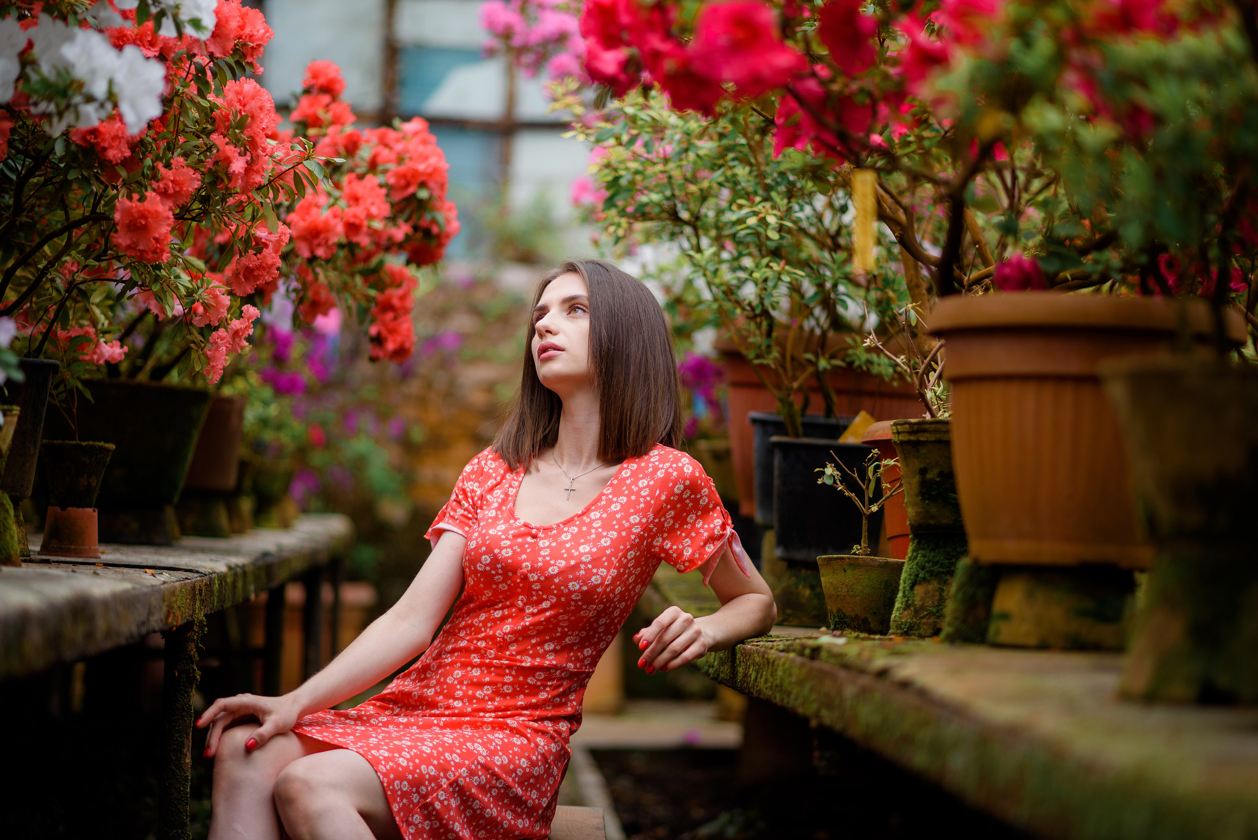 Богдана в азаліях. Сімейний та дитячий фотограф в Києві та Ірпені Тетяна Чайка