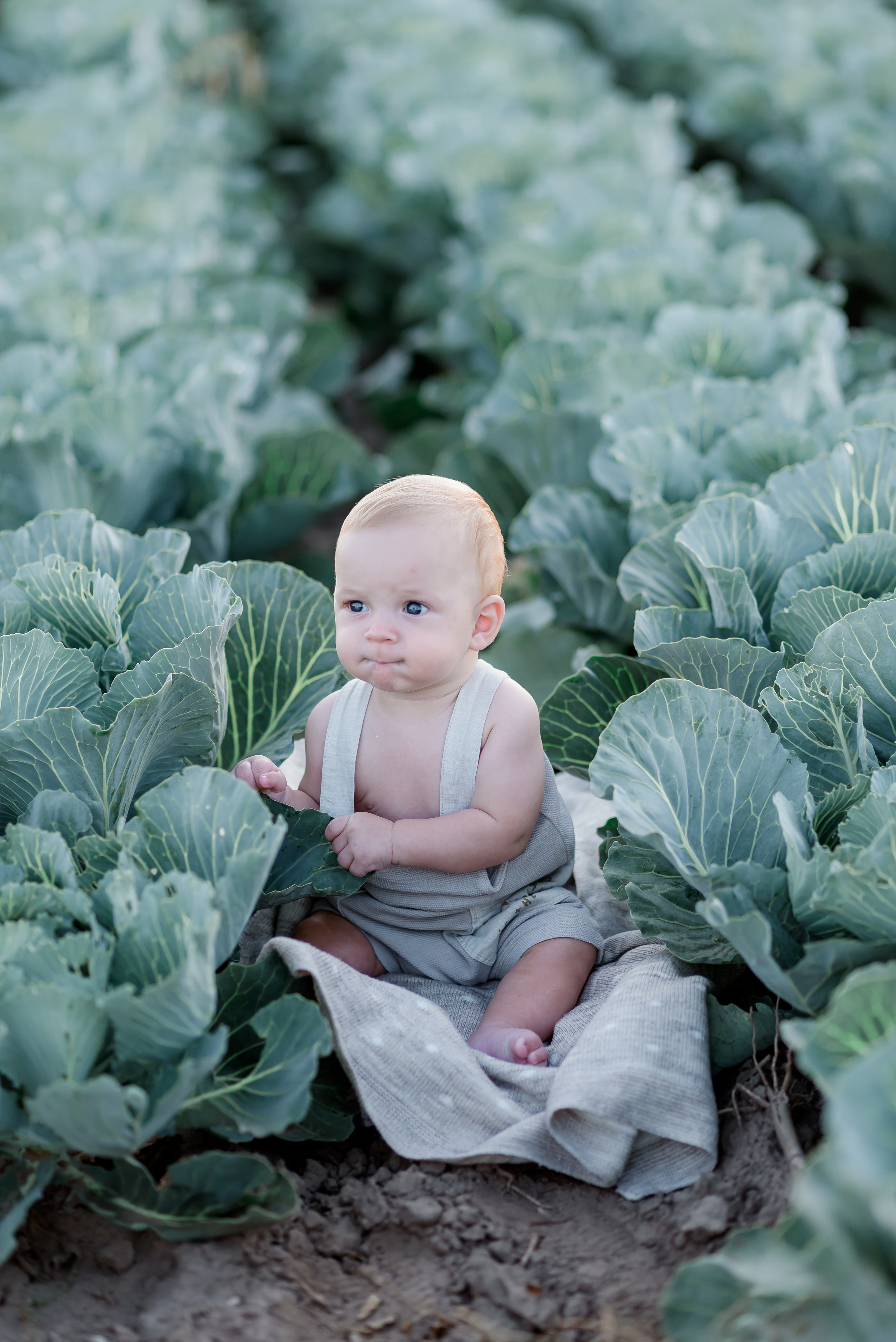 Сімейна в капусті. Надя з родиною. Сімейний та дитячий фотограф в Києві та Ірпені Тетяна Чайка