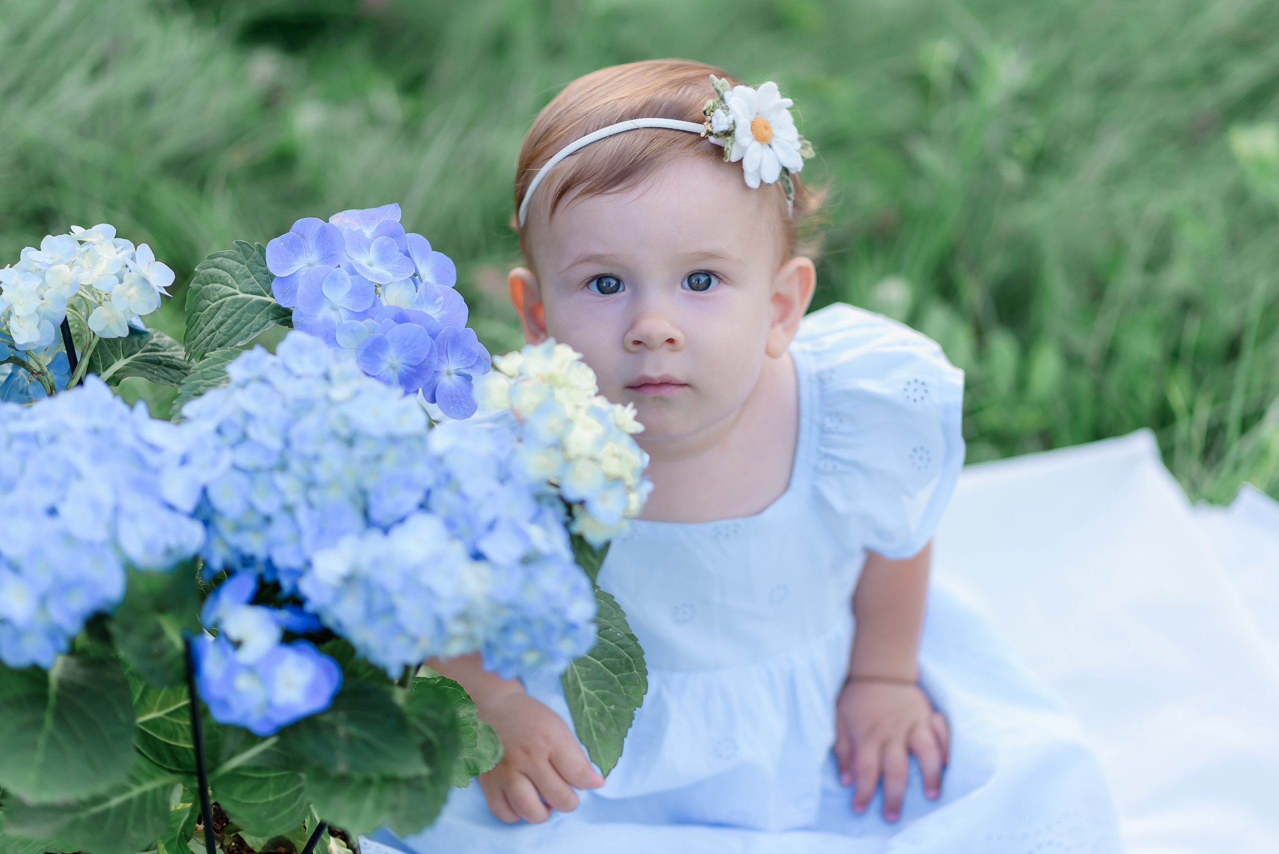 Човен з гортензіями. Сімейний та дитячий фотограф в Києві та Ірпені Тетяна Чайка