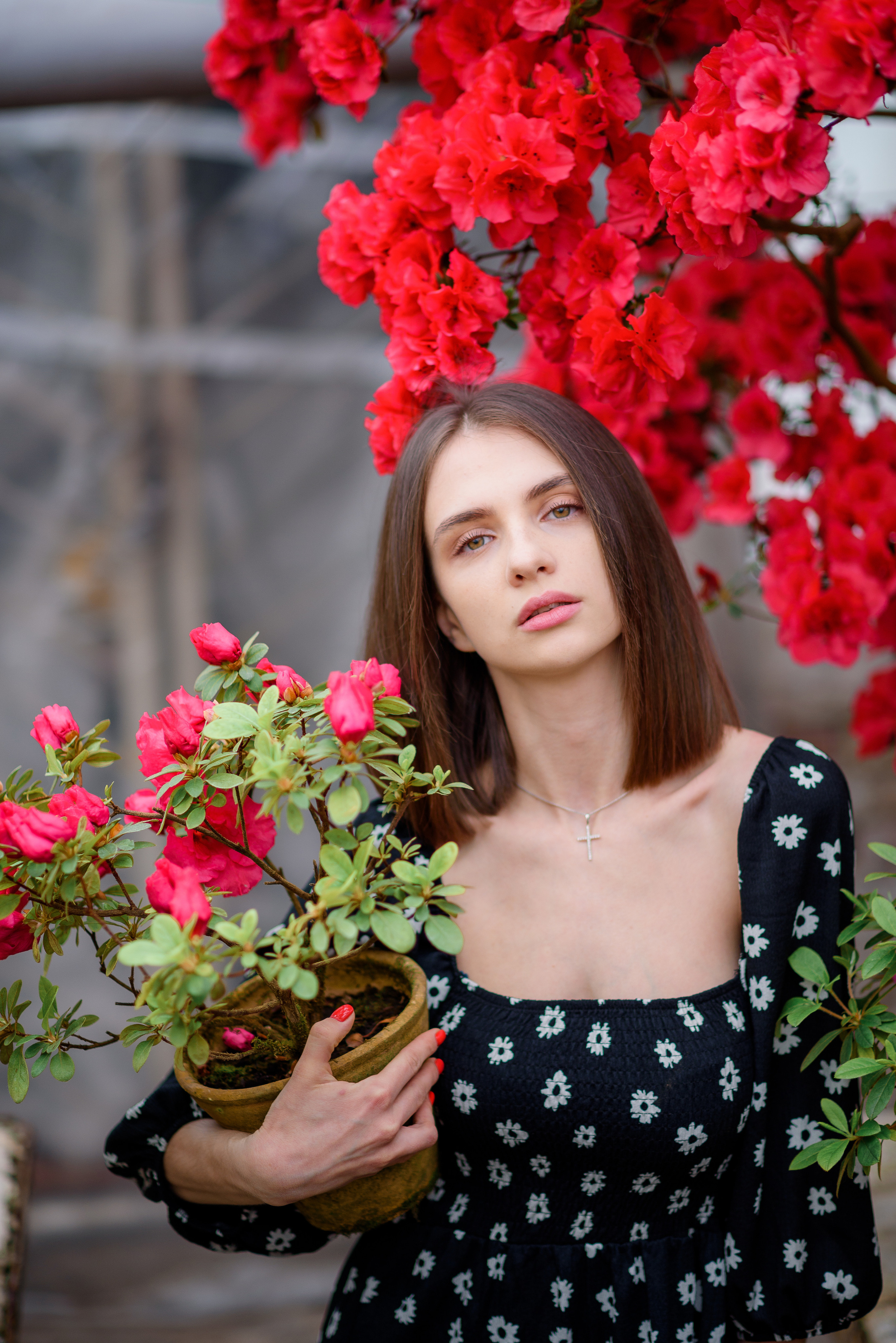 Богдана в азаліях. Сімейний та дитячий фотограф в Києві та Ірпені Тетяна Чайка