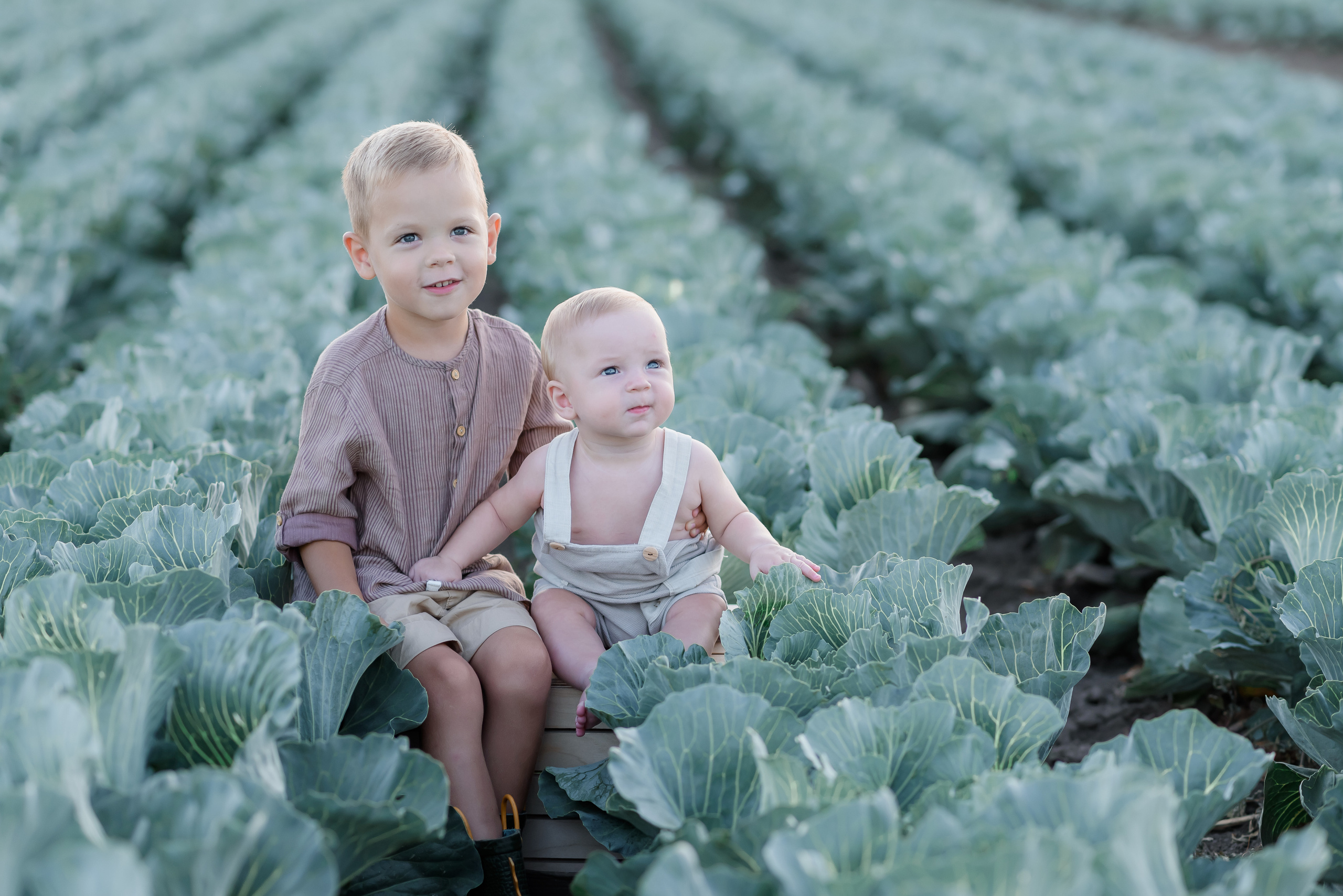 Сімейна в капусті. Надя з родиною. Сімейний та дитячий фотограф в Києві та Ірпені Тетяна Чайка