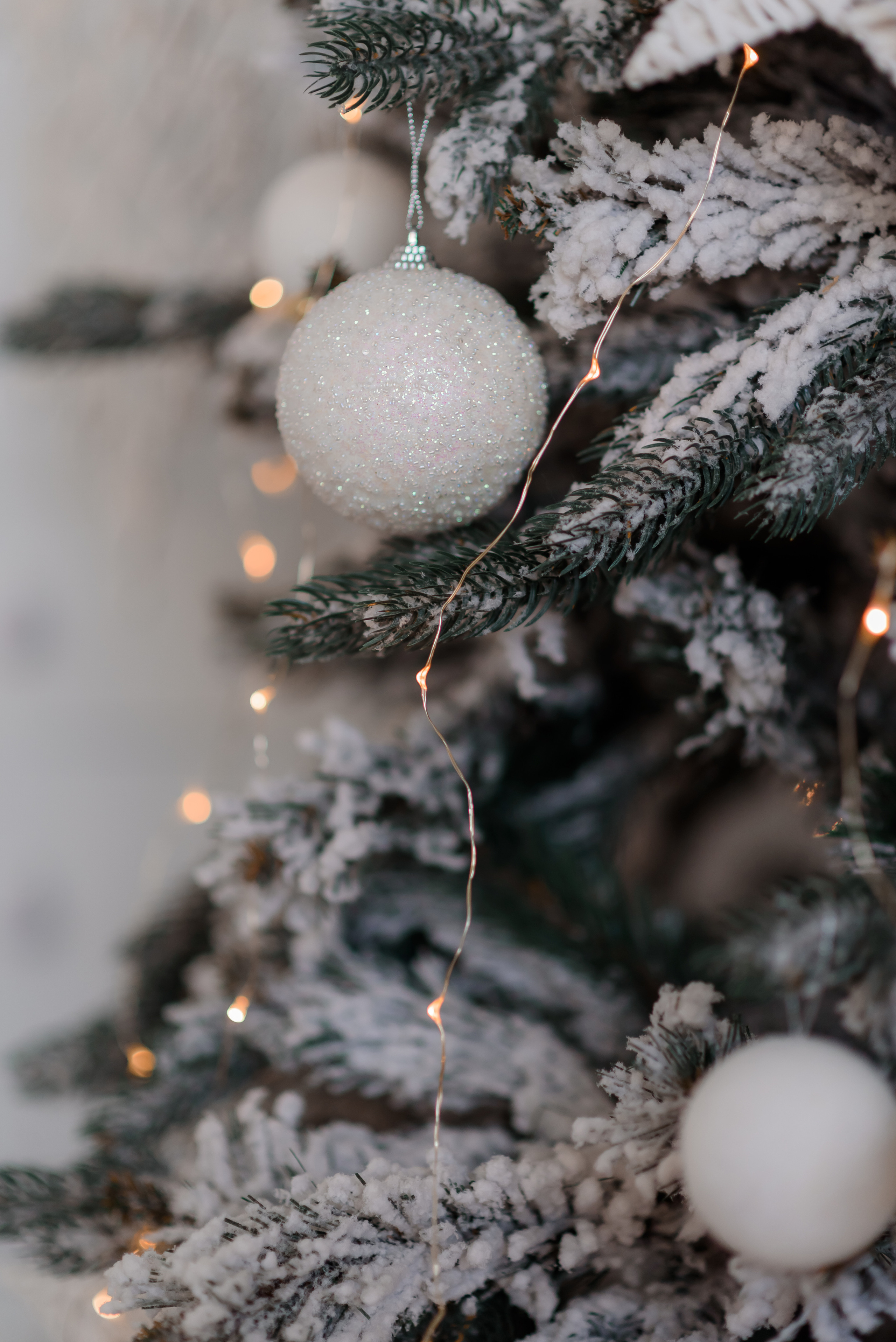 Людмила. Фотостудія Фьюжн. Сімейний та дитячий фотограф в Києві та Ірпені Тетяна Чайка