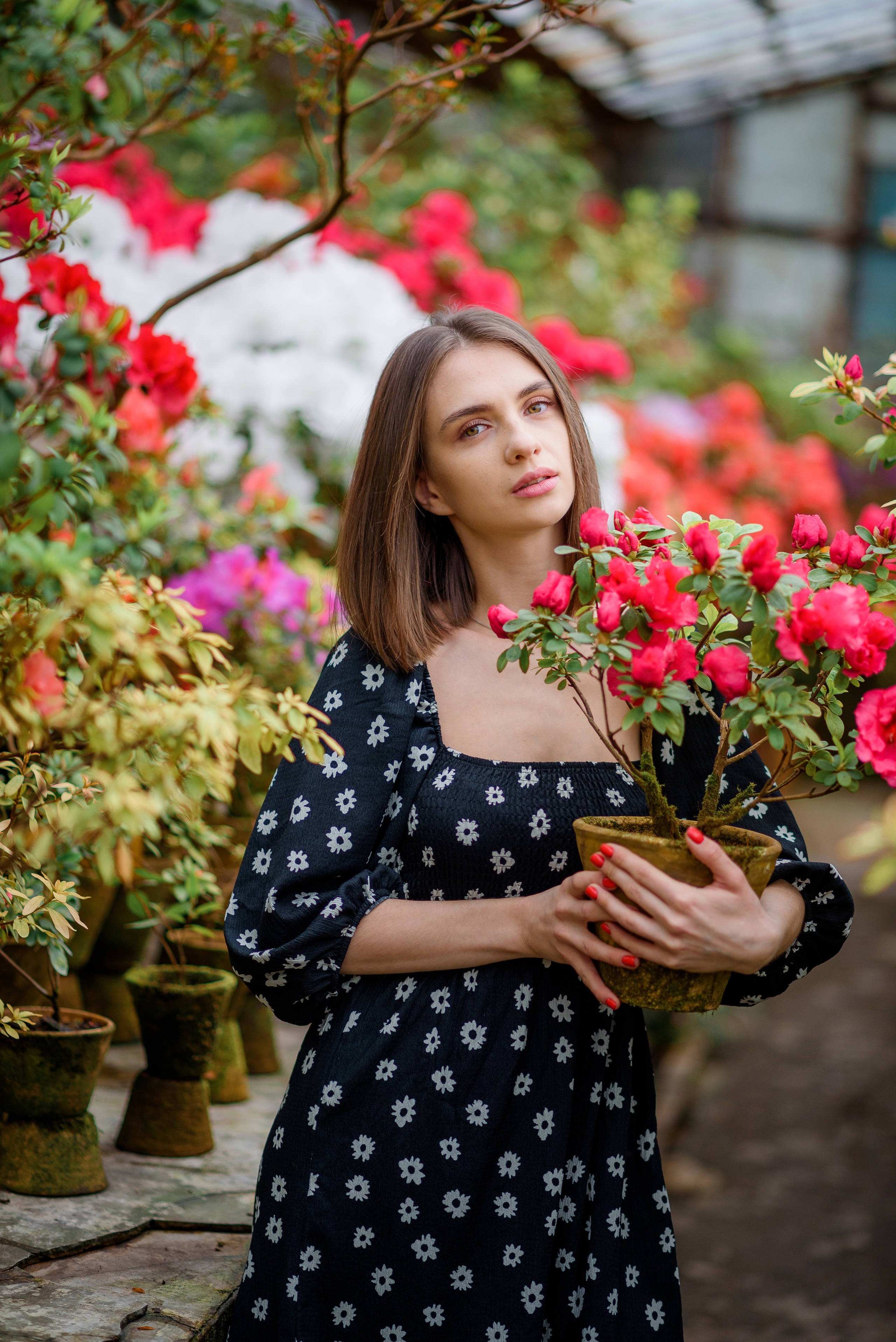 Богдана в азаліях. Сімейний та дитячий фотограф в Києві та Ірпені Тетяна Чайка