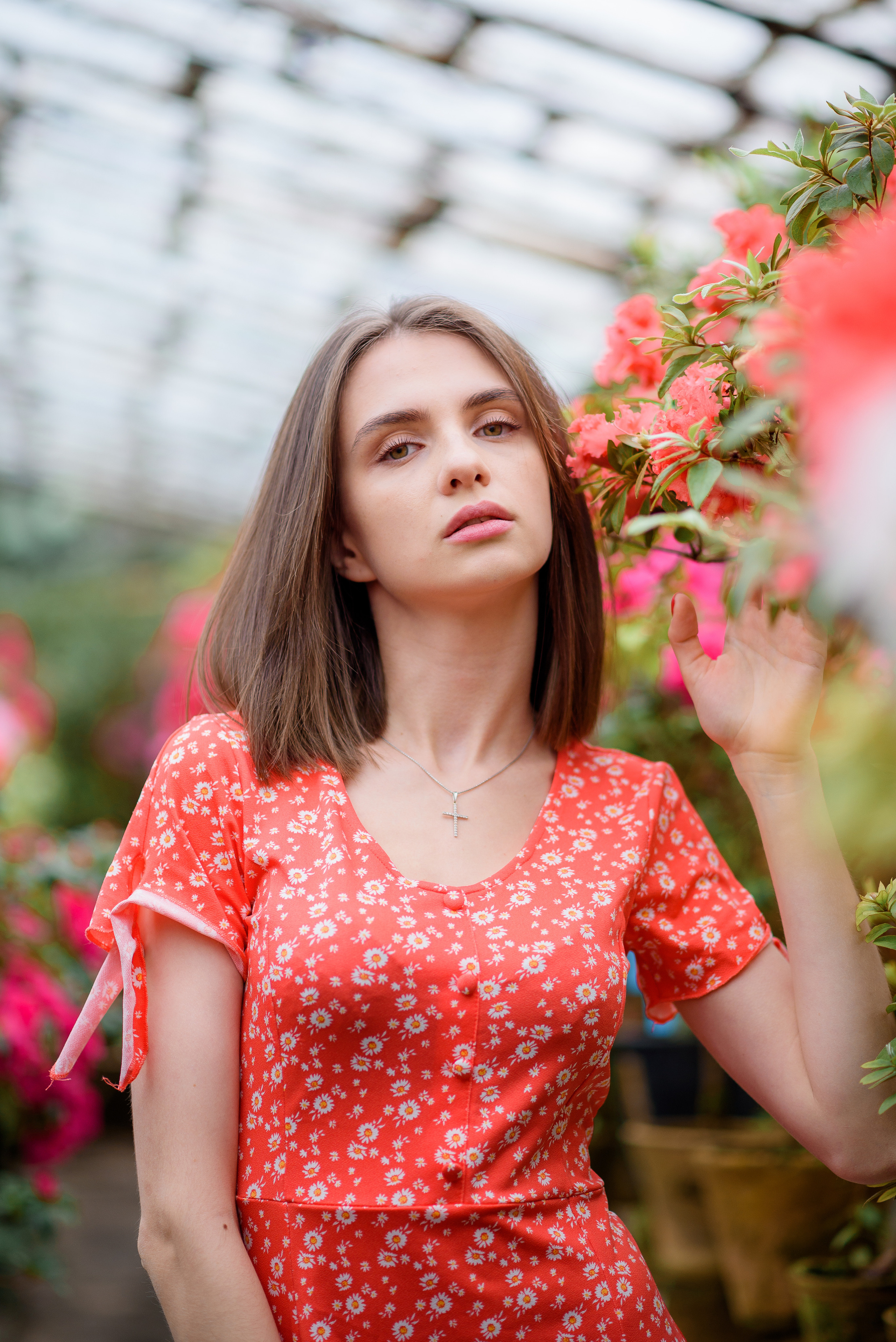 Богдана в азаліях. Сімейний та дитячий фотограф в Києві та Ірпені Тетяна Чайка