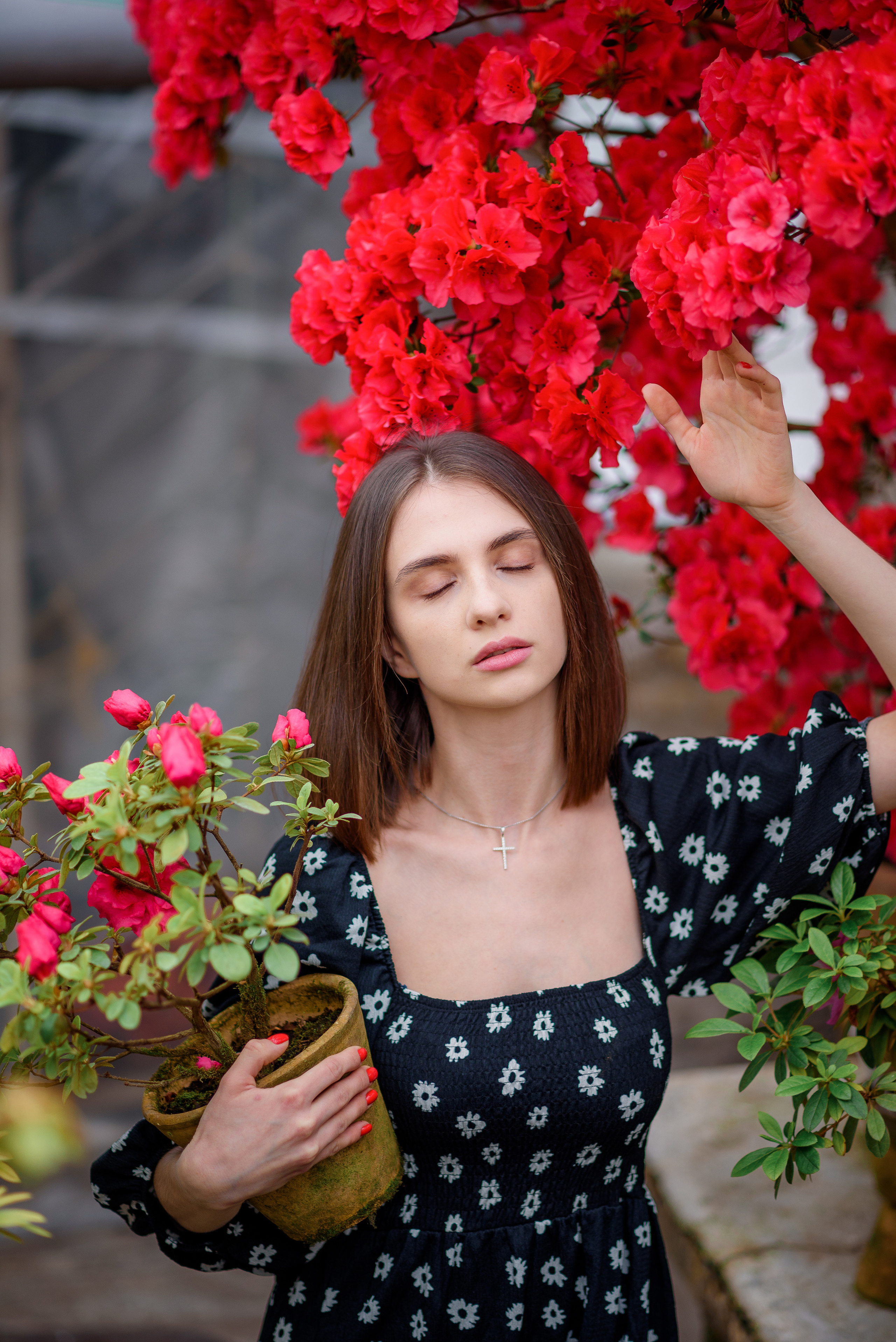 Богдана в азаліях. Сімейний та дитячий фотограф в Києві та Ірпені Тетяна Чайка