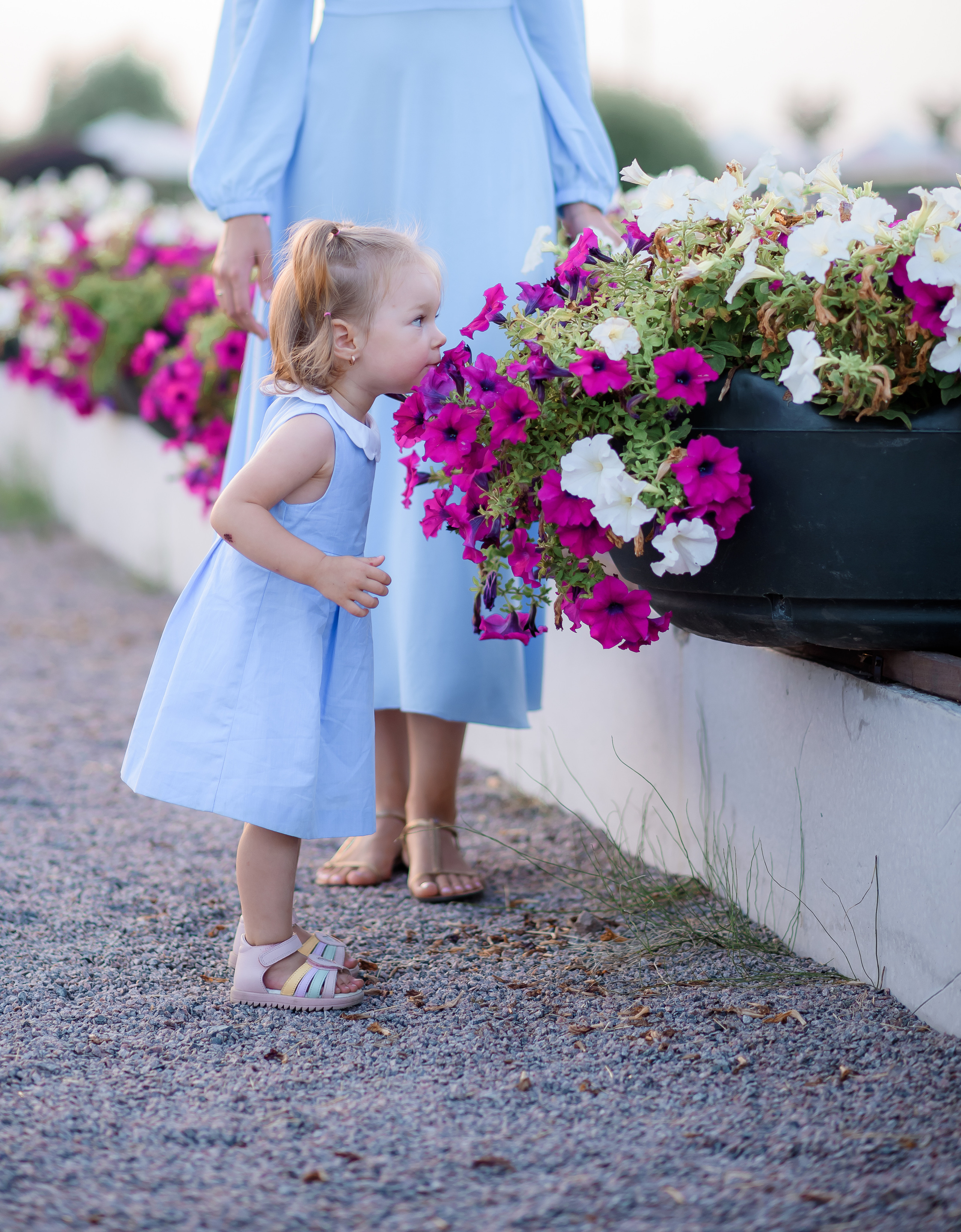 Ліза. Анюта. Андрій. Сімейний та дитячий фотограф в Києві та Ірпені Тетяна Чайка