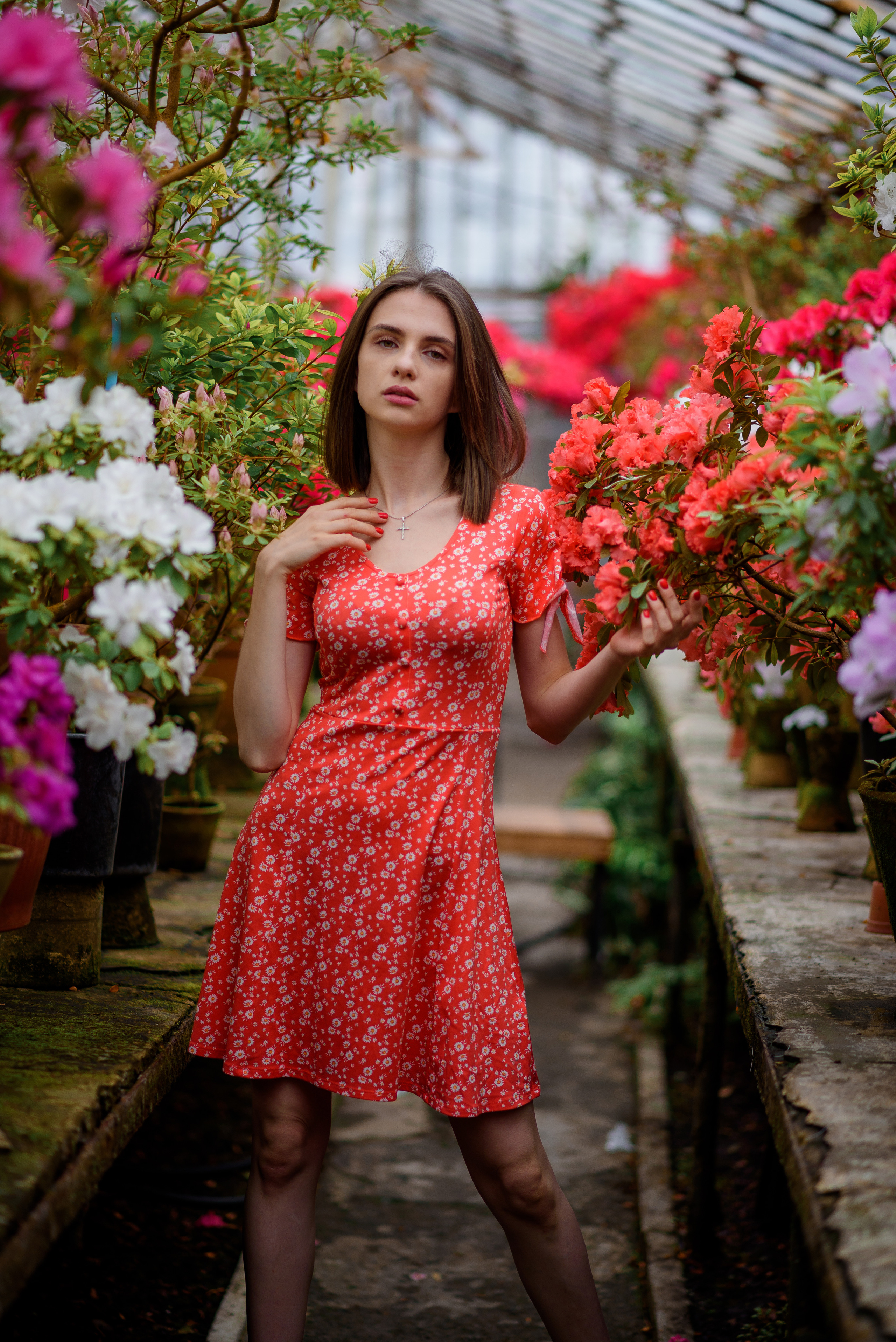 Богдана в азаліях. Сімейний та дитячий фотограф в Києві та Ірпені Тетяна Чайка