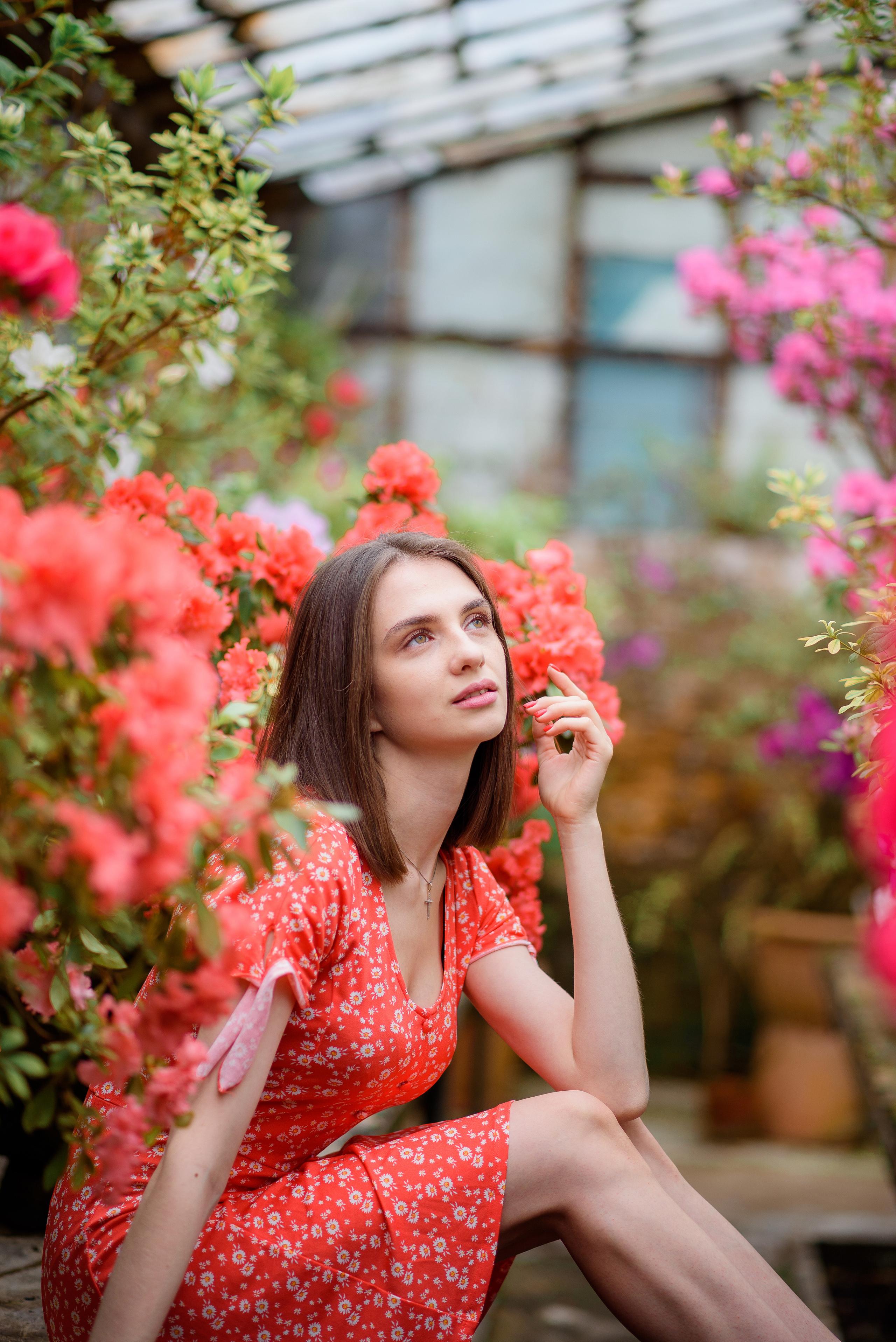 Богдана в азаліях. Сімейний та дитячий фотограф в Києві та Ірпені Тетяна Чайка