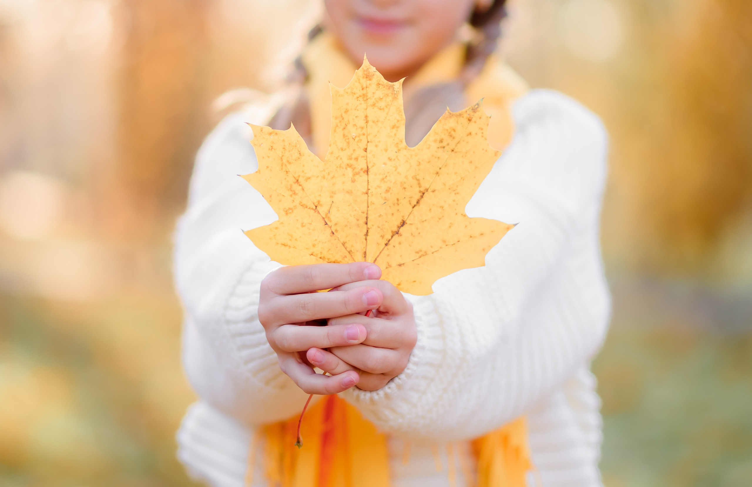 Осінній фотопроект. Сімейний та дитячий фотограф в Києві та Ірпені Тетяна Чайка