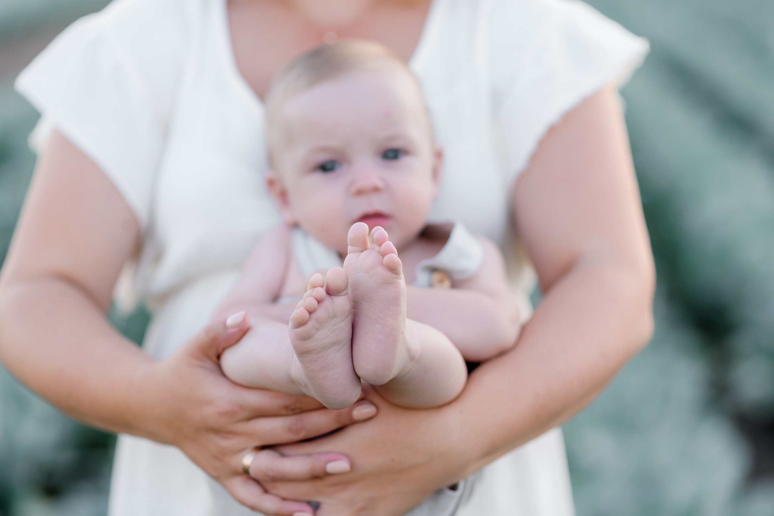 Сімейна в капусті. Надя з родиною. Сімейний та дитячий фотограф в Києві та Ірпені Тетяна Чайка