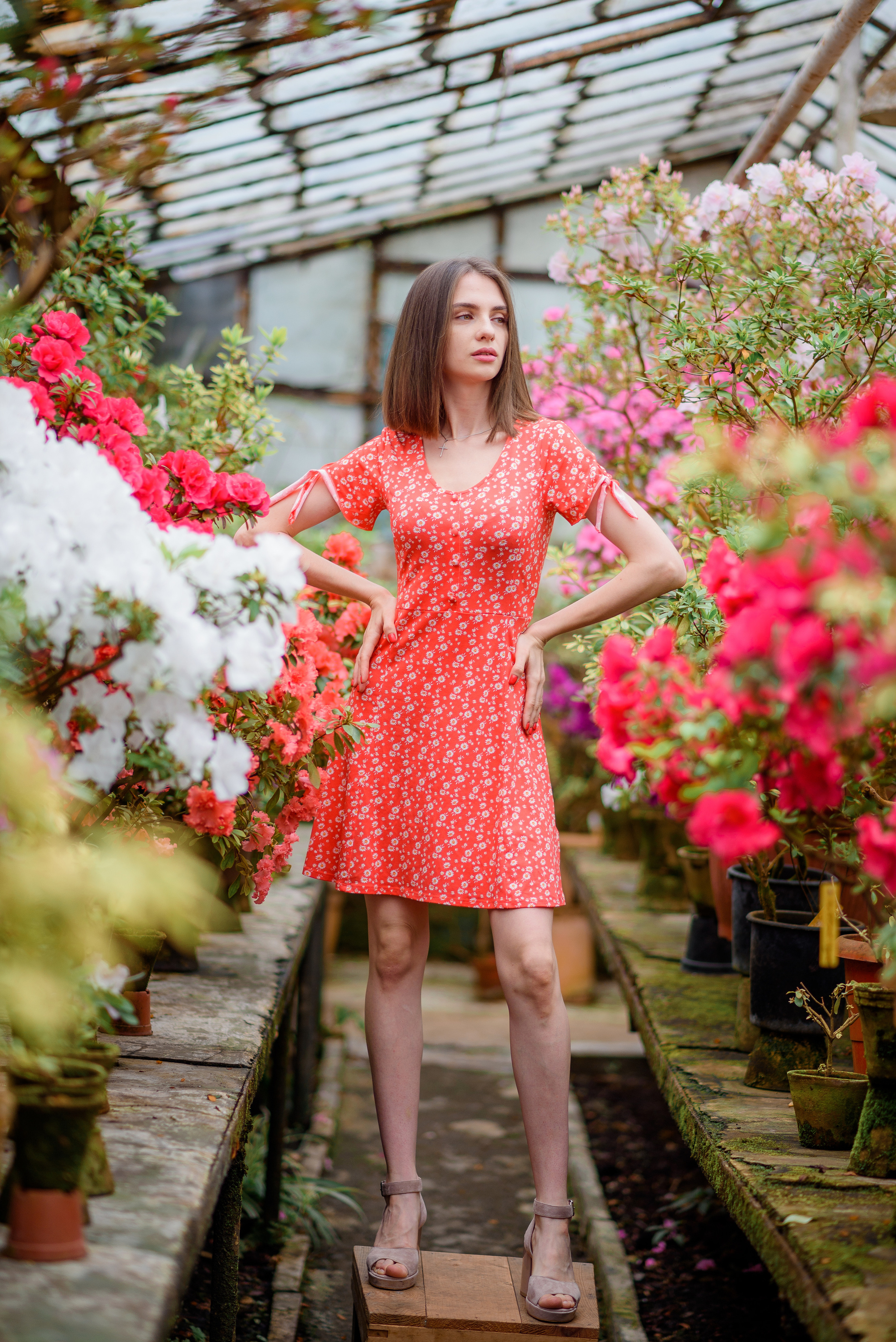 Богдана в азаліях. Сімейний та дитячий фотограф в Києві та Ірпені Тетяна Чайка