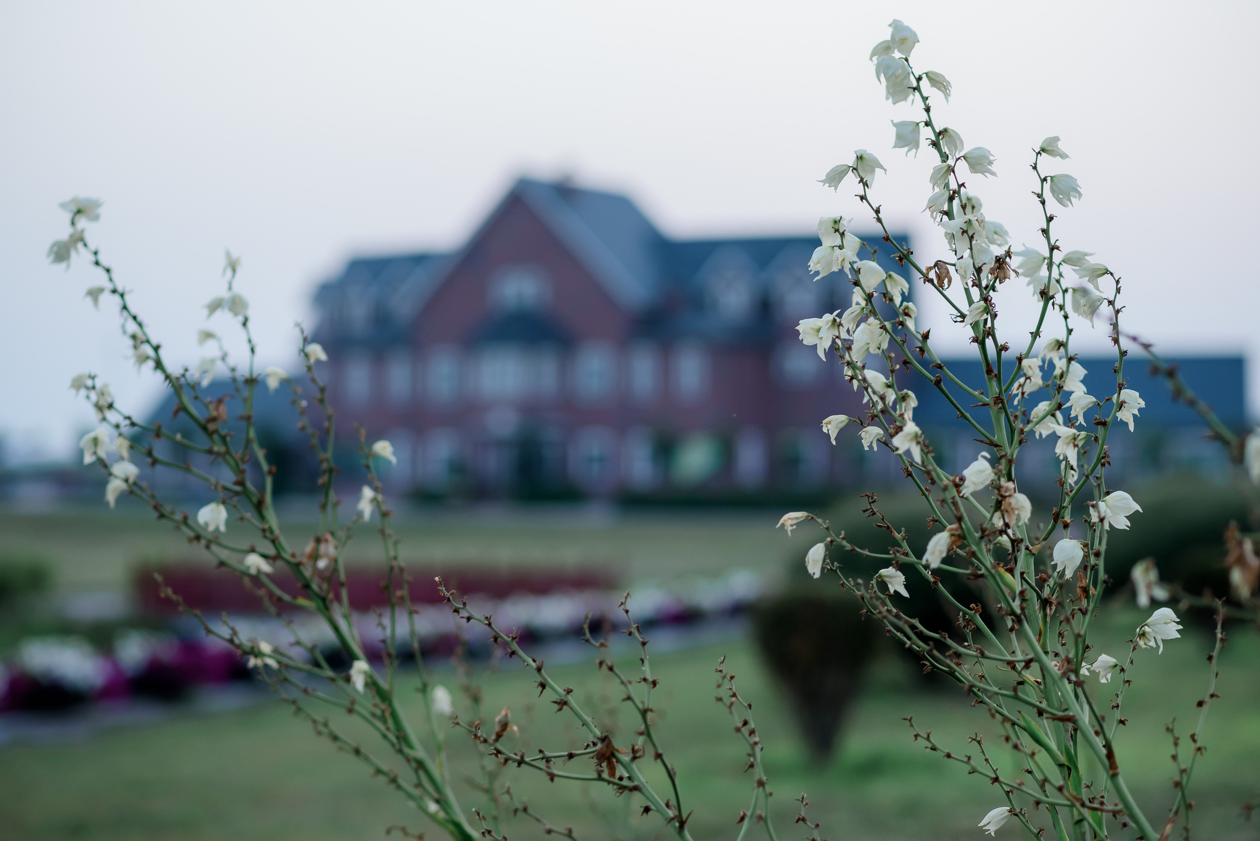 Ліза. Анюта. Андрій. Сімейний та дитячий фотограф в Києві та Ірпені Тетяна Чайка