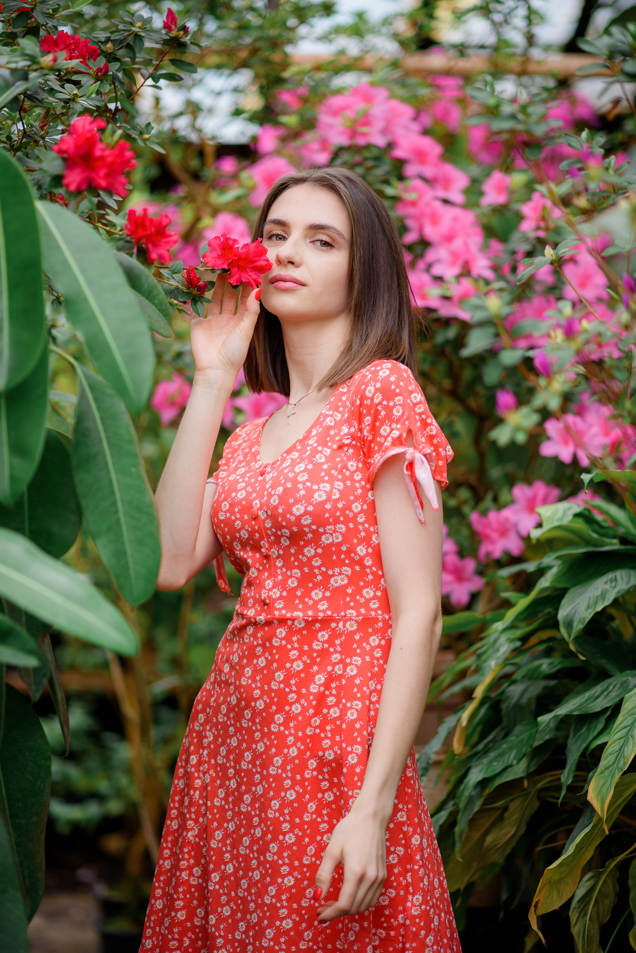 Богдана в азаліях. Сімейний та дитячий фотограф в Києві та Ірпені Тетяна Чайка