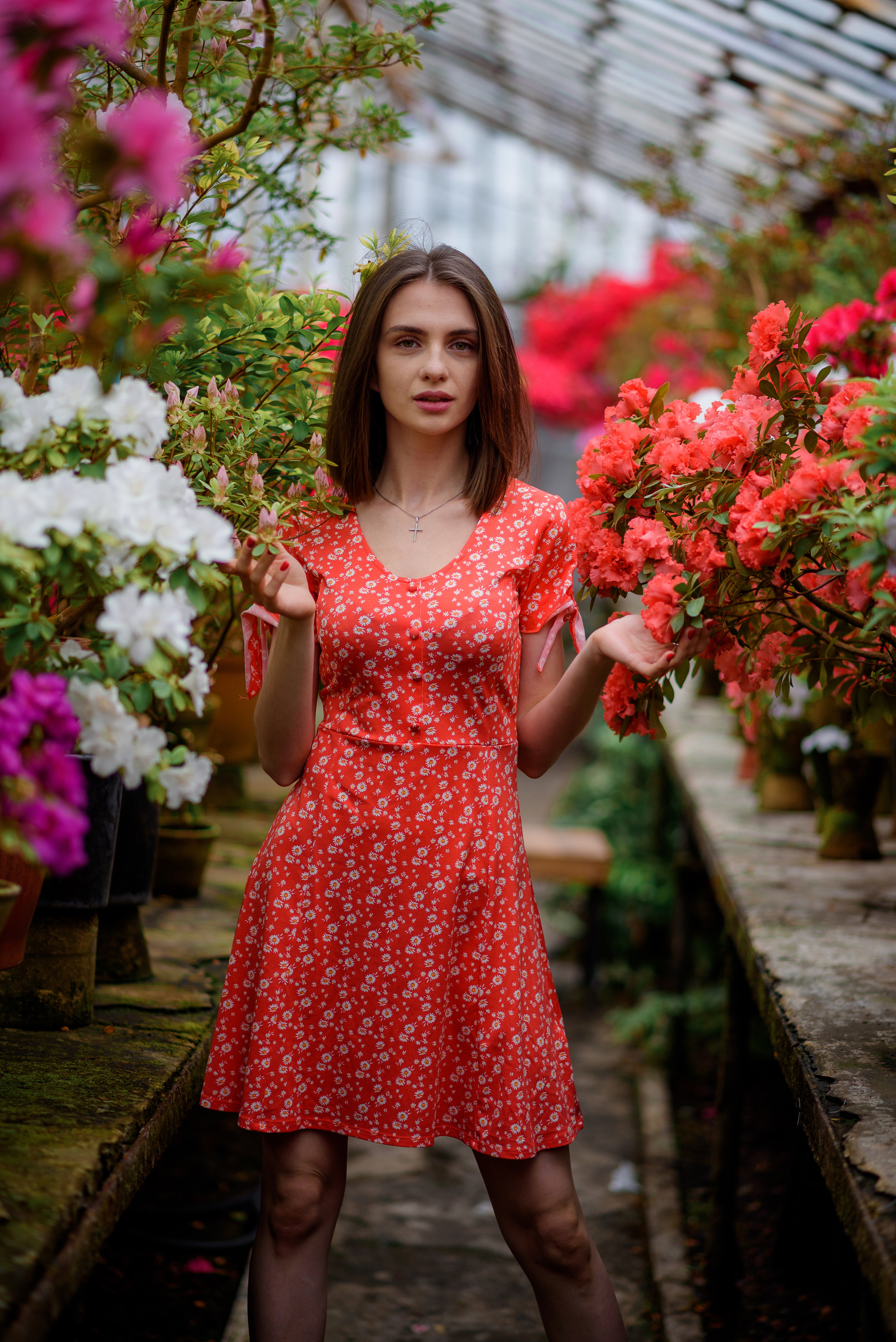 Богдана в азаліях. Сімейний та дитячий фотограф в Києві та Ірпені Тетяна Чайка