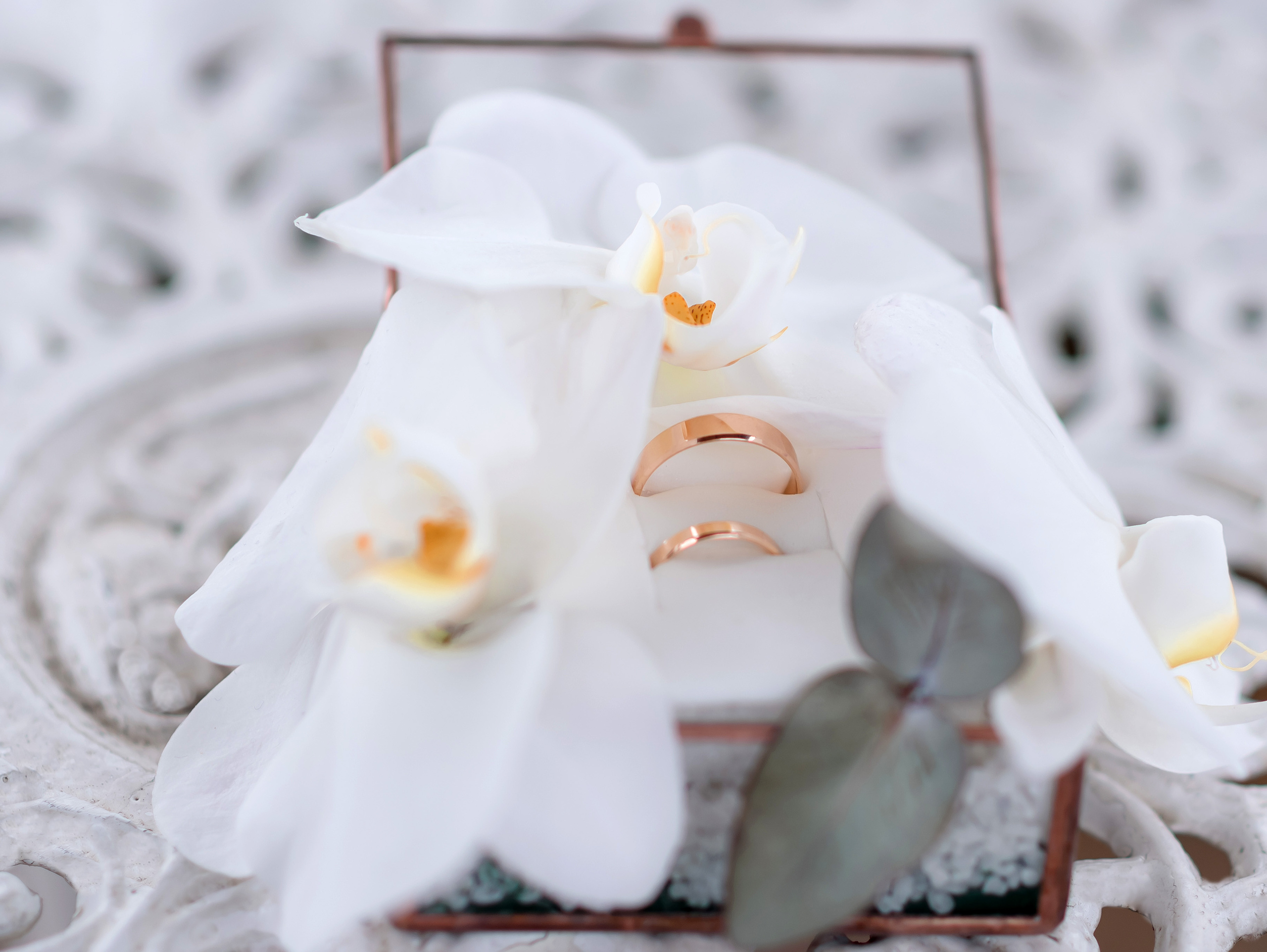 Христина&Сергій. Сімейний та дитячий фотограф в Києві та Ірпені Тетяна Чайка