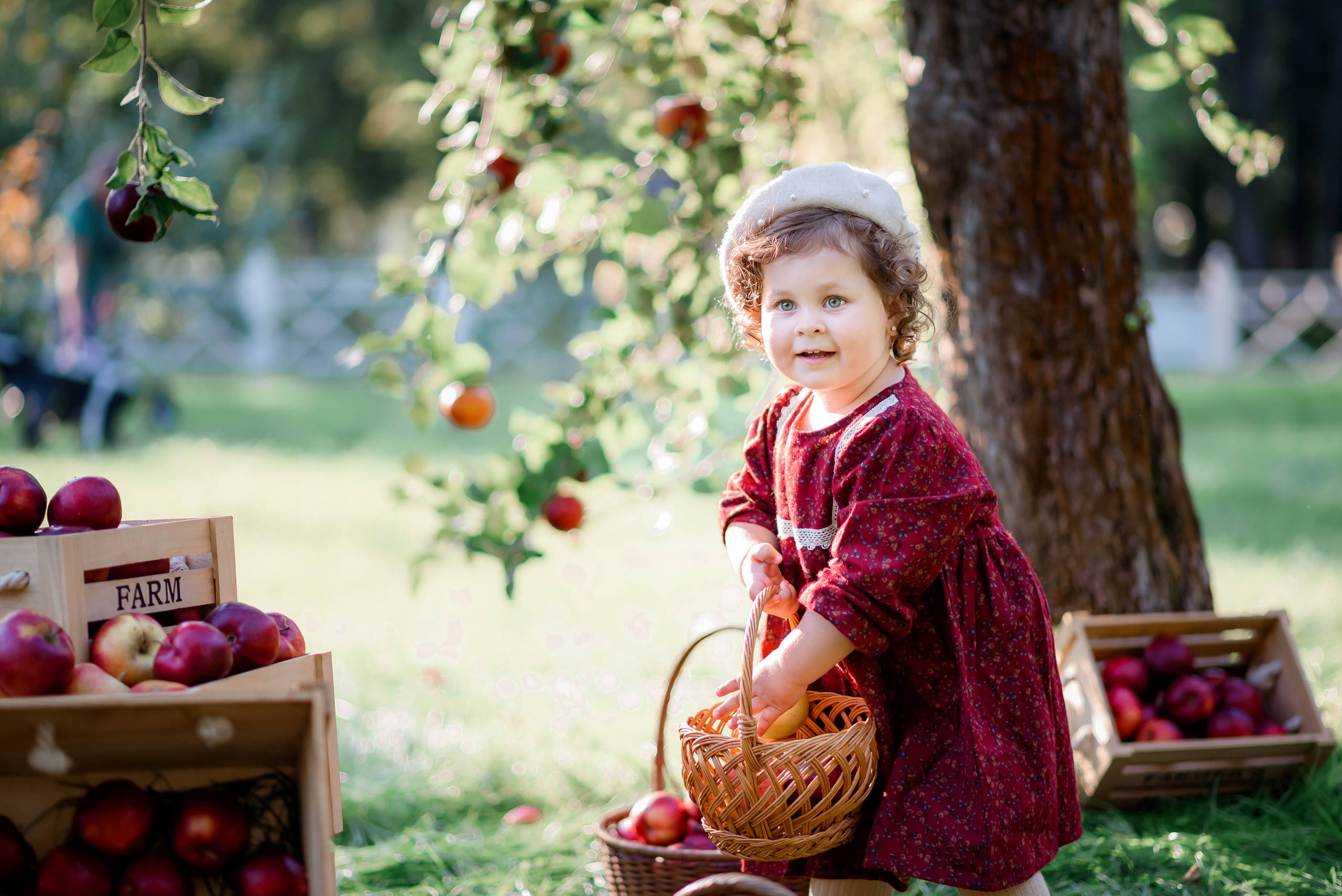 Збір врожаю (з яблоками та кавунами). Сімейний та дитячий фотограф в Києві та Ірпені Тетяна Чайка