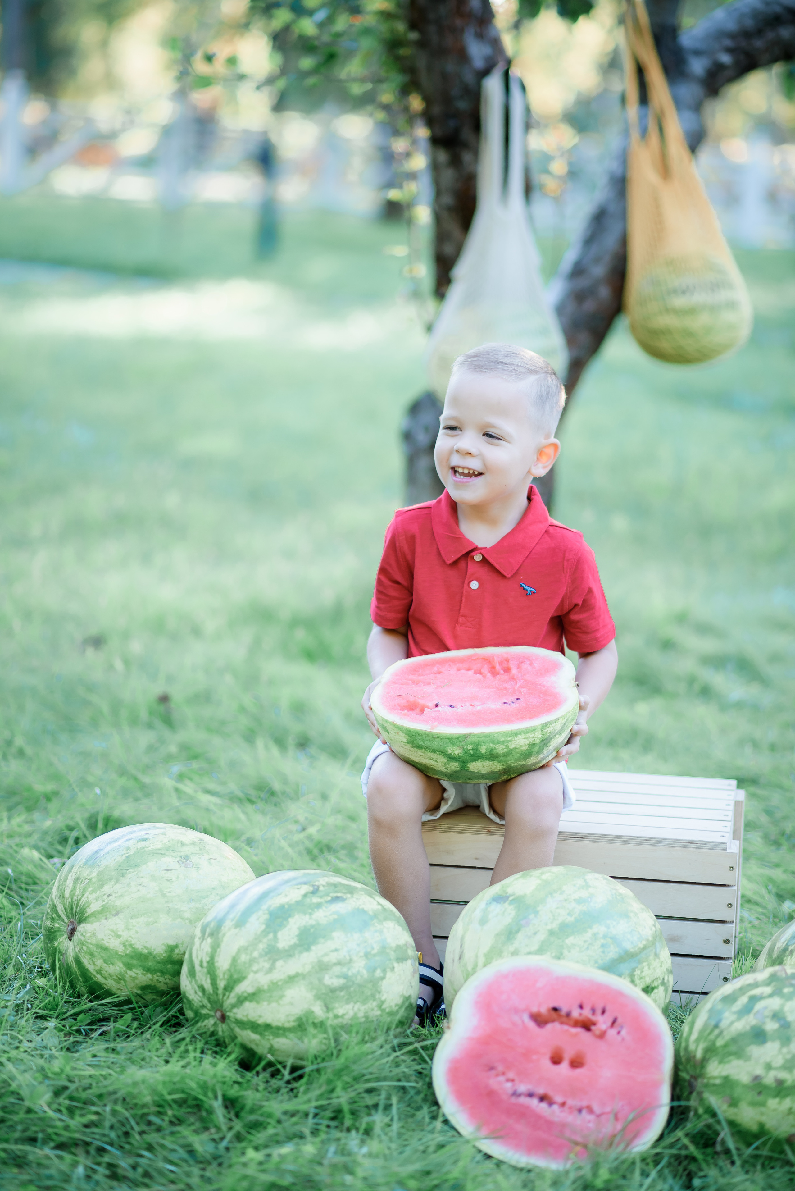 Збір врожаю (з яблоками та кавунами). Сімейний та дитячий фотограф в Києві та Ірпені Тетяна Чайка
