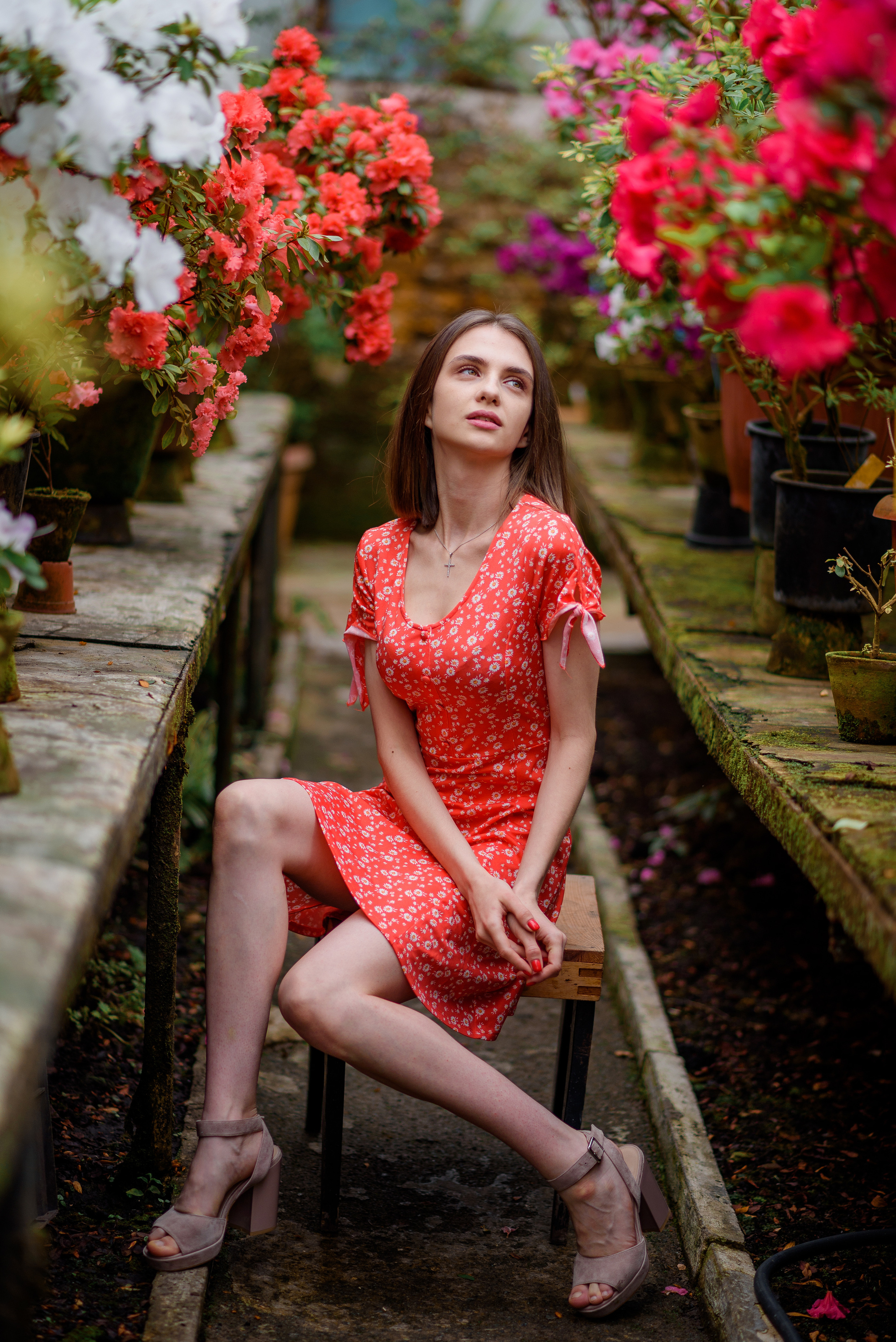 Богдана в азаліях. Сімейний та дитячий фотограф в Києві та Ірпені Тетяна Чайка