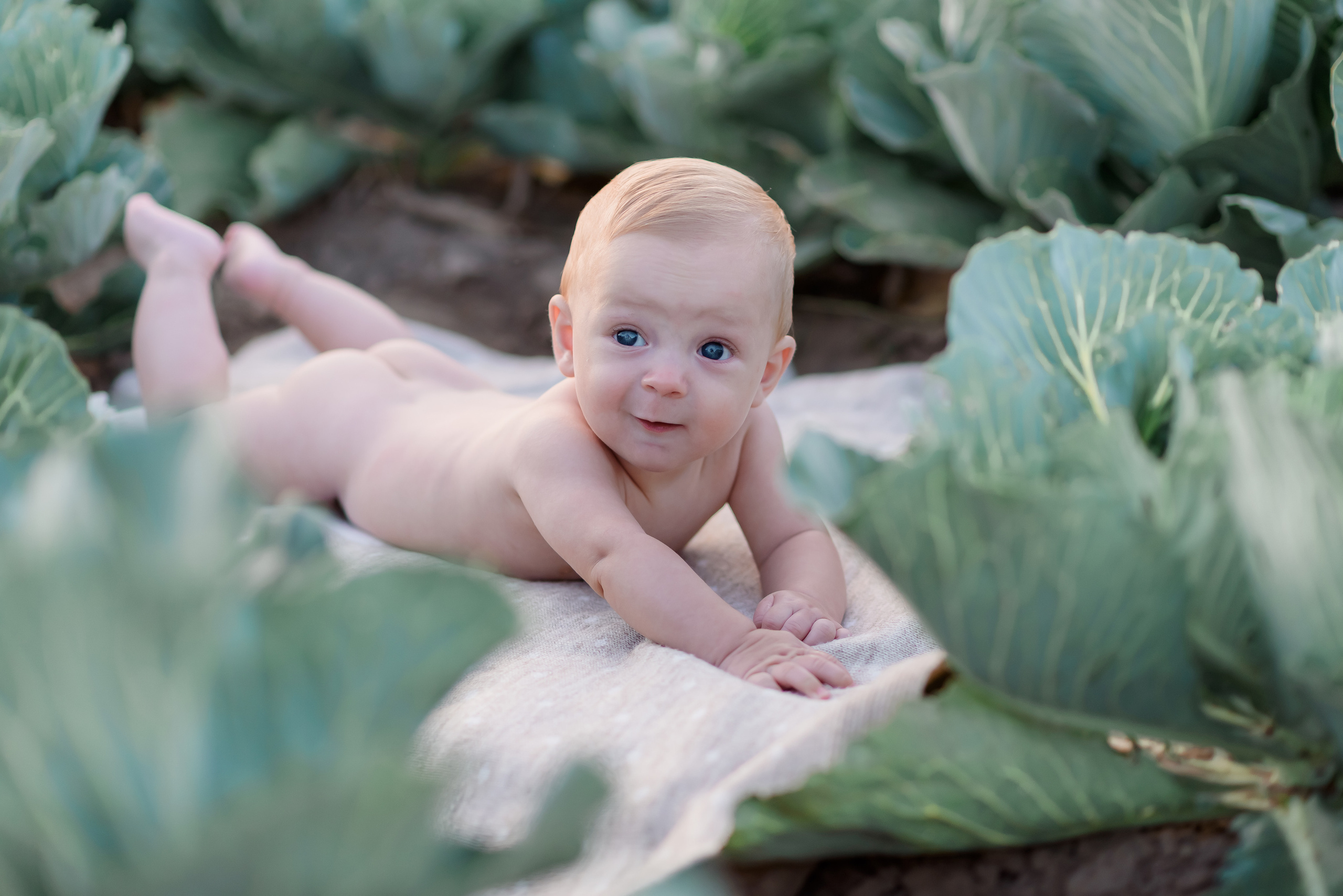 Сімейна в капусті. Надя з родиною. Сімейний та дитячий фотограф в Києві та Ірпені Тетяна Чайка
