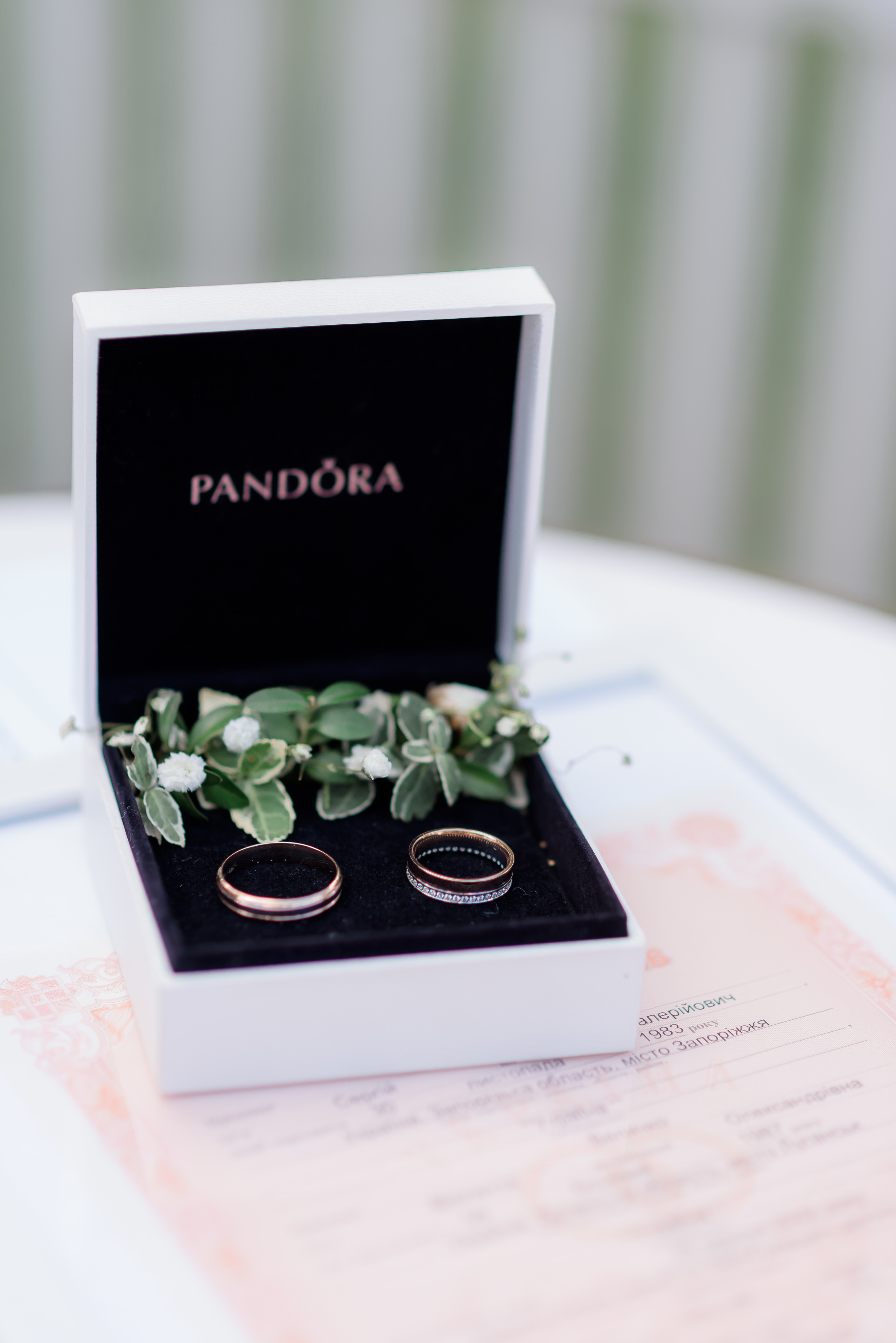 Віолетта&Сергій. Сімейний та дитячий фотограф в Києві та Ірпені Тетяна Чайка