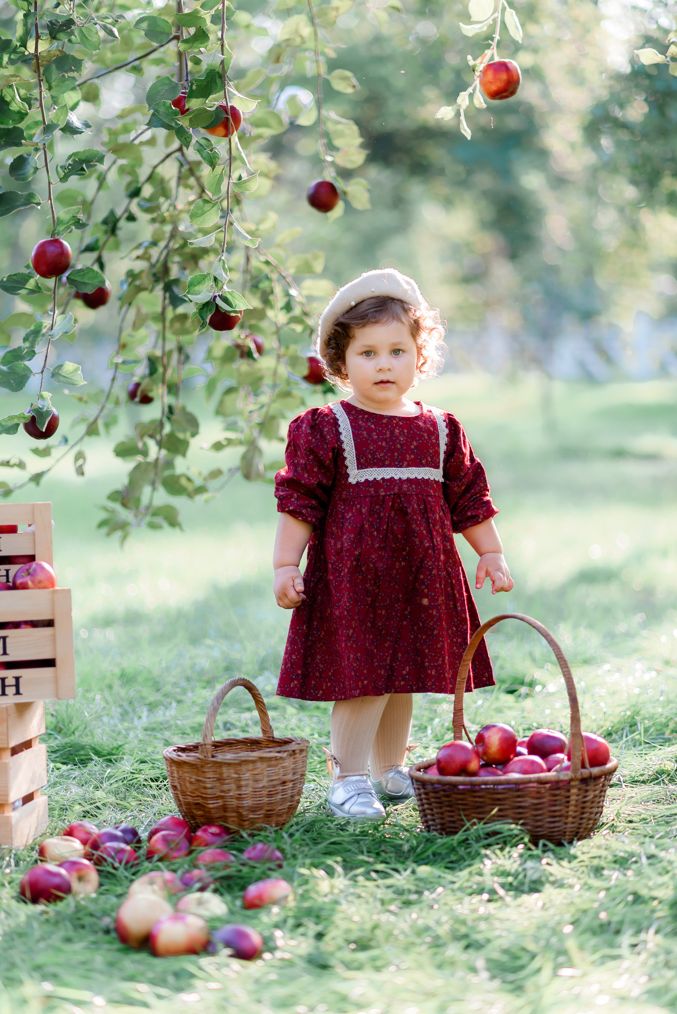 Збір врожаю (з яблоками та кавунами). Сімейний та дитячий фотограф в Києві та Ірпені Тетяна Чайка