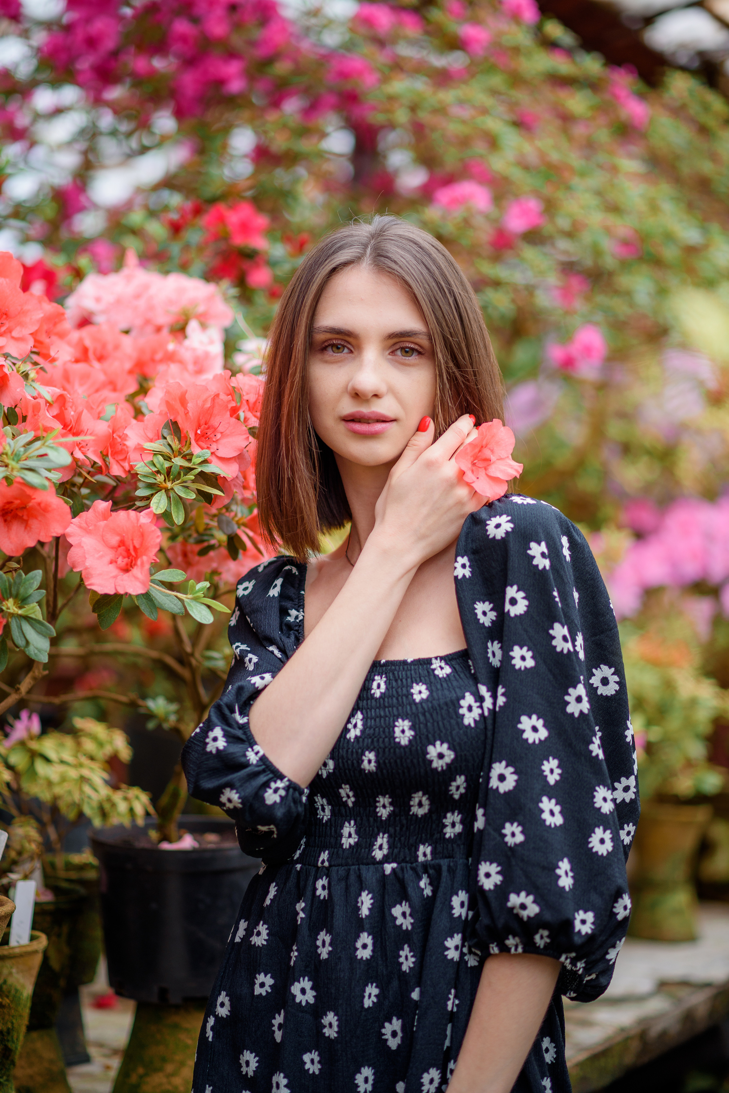 Богдана в азаліях. Сімейний та дитячий фотограф в Києві та Ірпені Тетяна Чайка