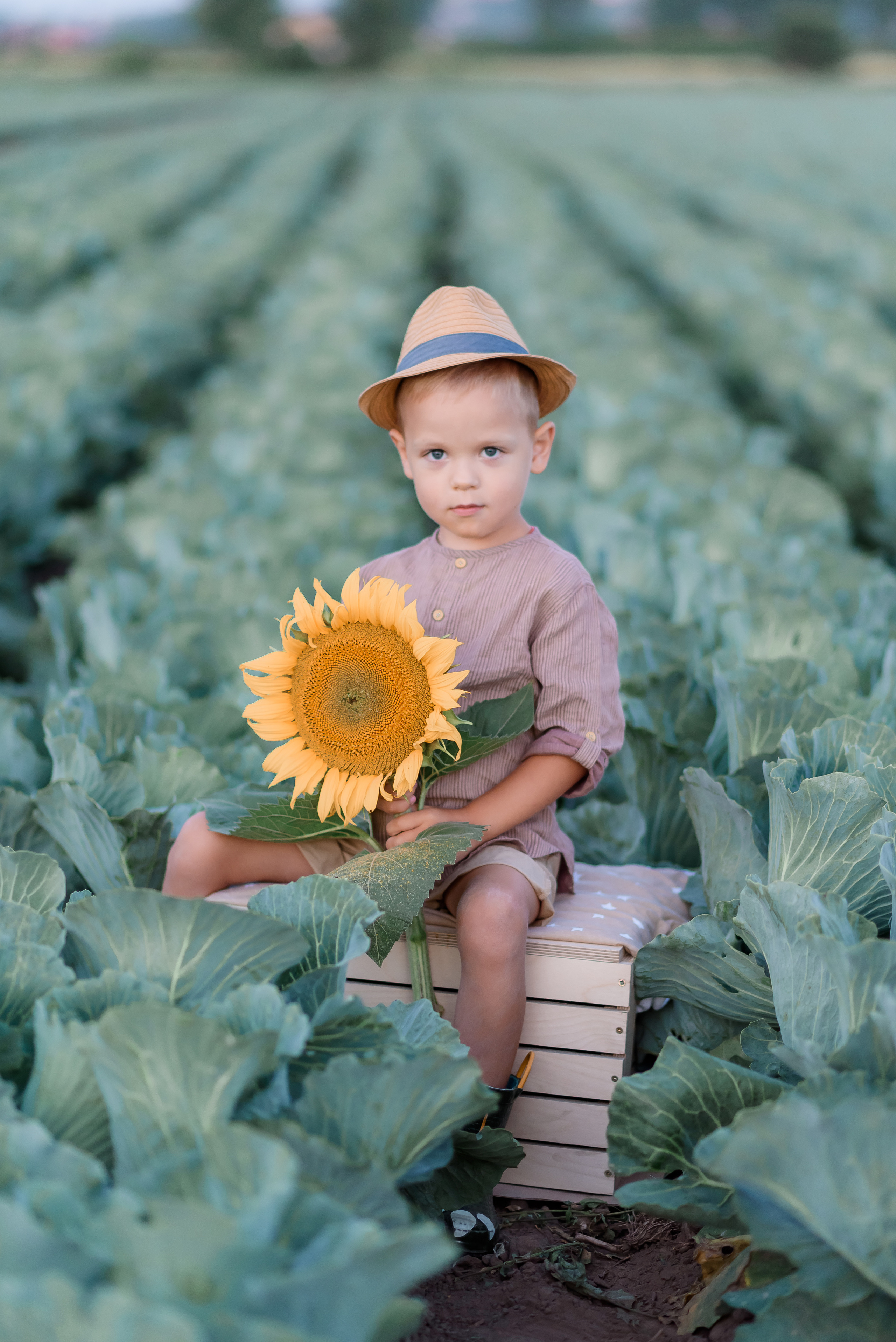 Сімейна в капусті. Надя з родиною. Сімейний та дитячий фотограф в Києві та Ірпені Тетяна Чайка