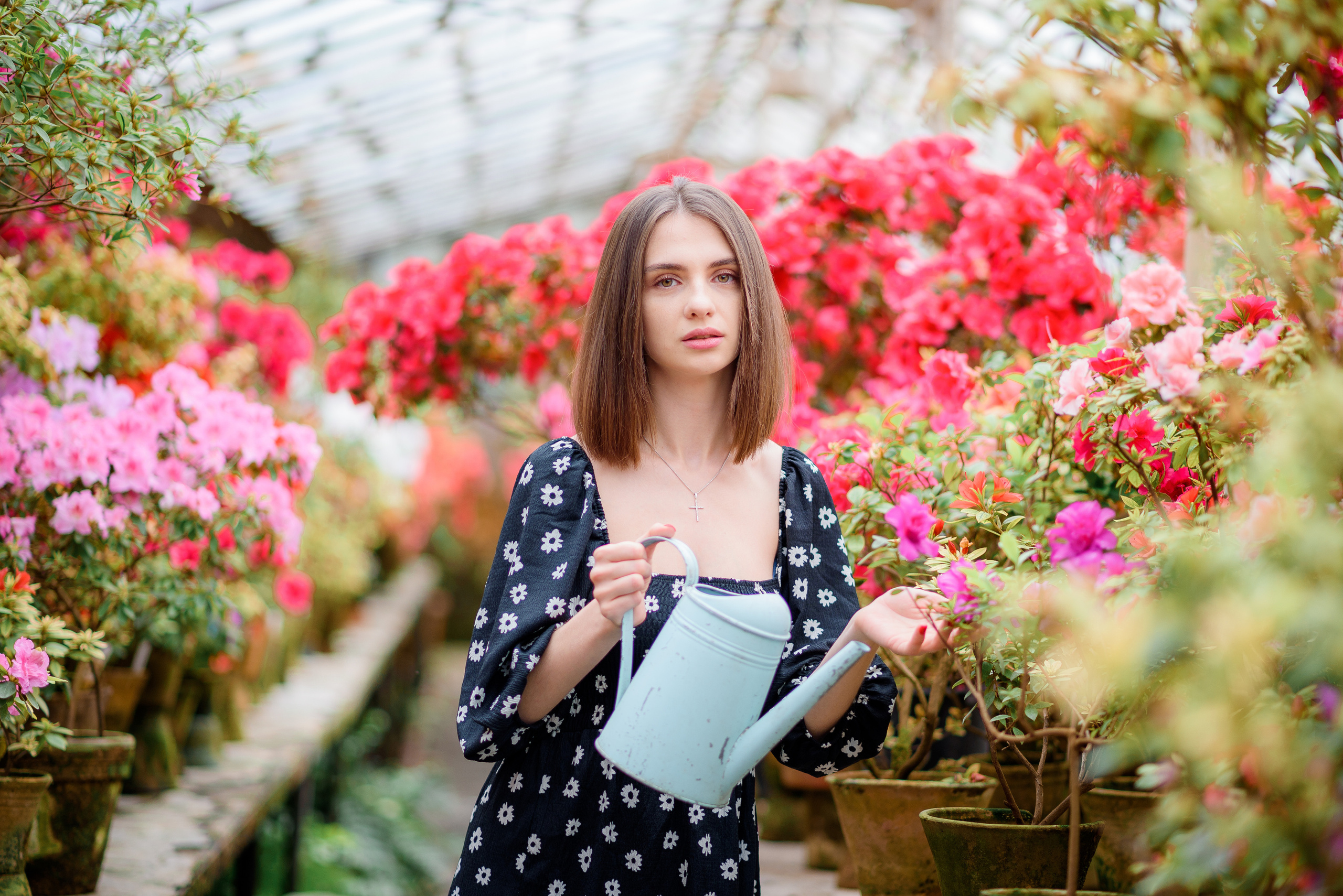Богдана в азаліях. Сімейний та дитячий фотограф в Києві та Ірпені Тетяна Чайка