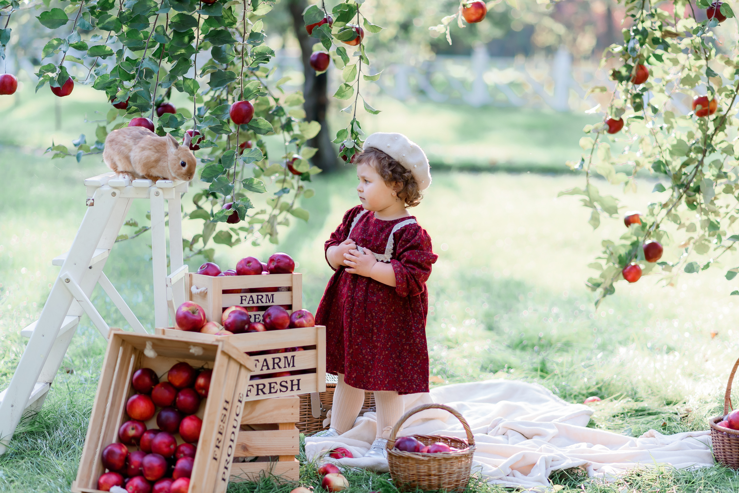 Збір врожаю (з яблоками та кавунами). Сімейний та дитячий фотограф в Києві та Ірпені Тетяна Чайка